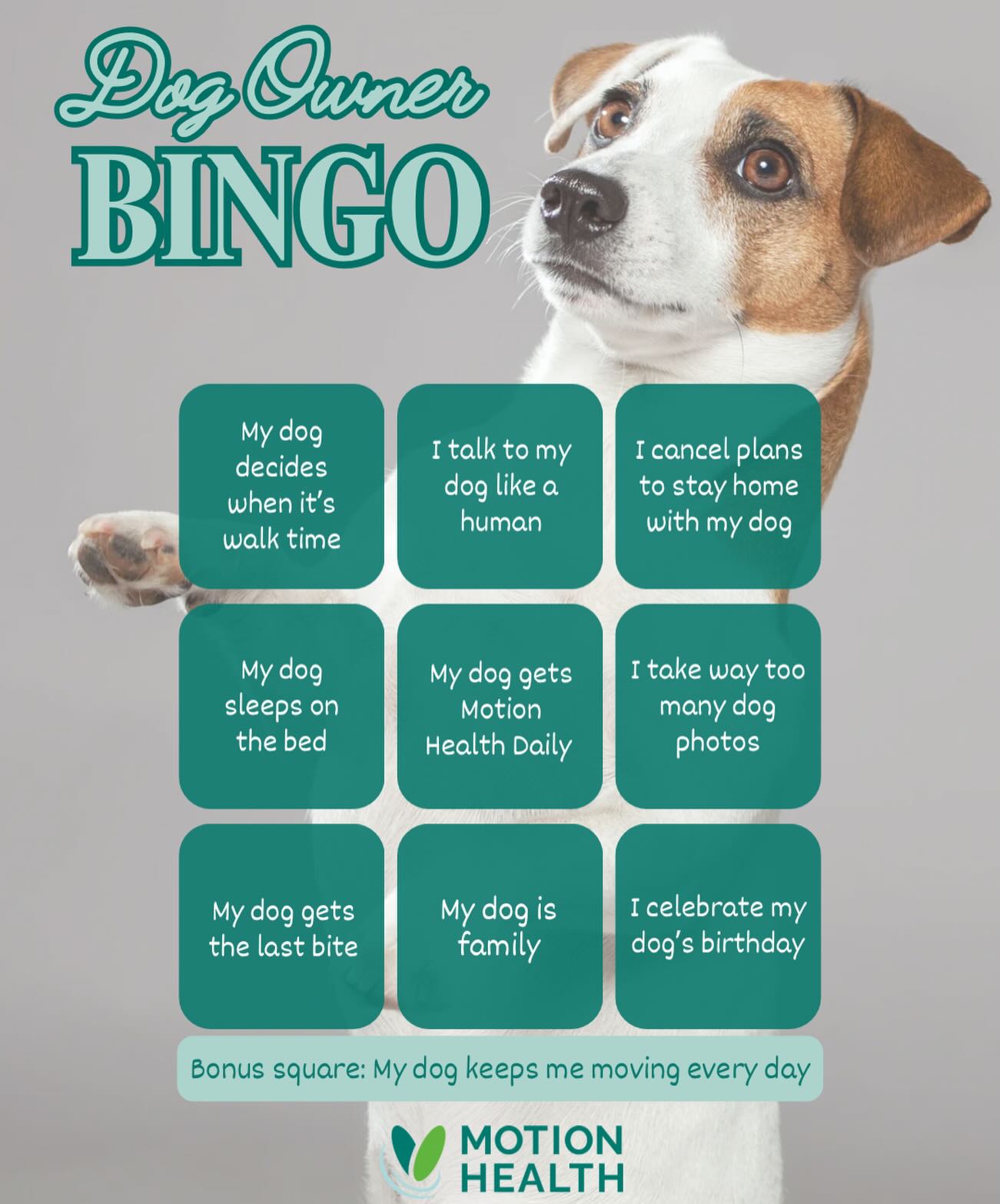 DOG OWNER BINGO šš¾
Be honest⦠how many squares did you check? š
Dogs have a way of becoming the centre of our routines, especially when it comes to daily walks and getting outside.
And honestly⦠we wouldnāt have it any other way.
š Comment your score out of 9
Have a great weekend!
#MotionHealth #DogOwnerLife #PetCommunity #bingo #LifeWithDogs
