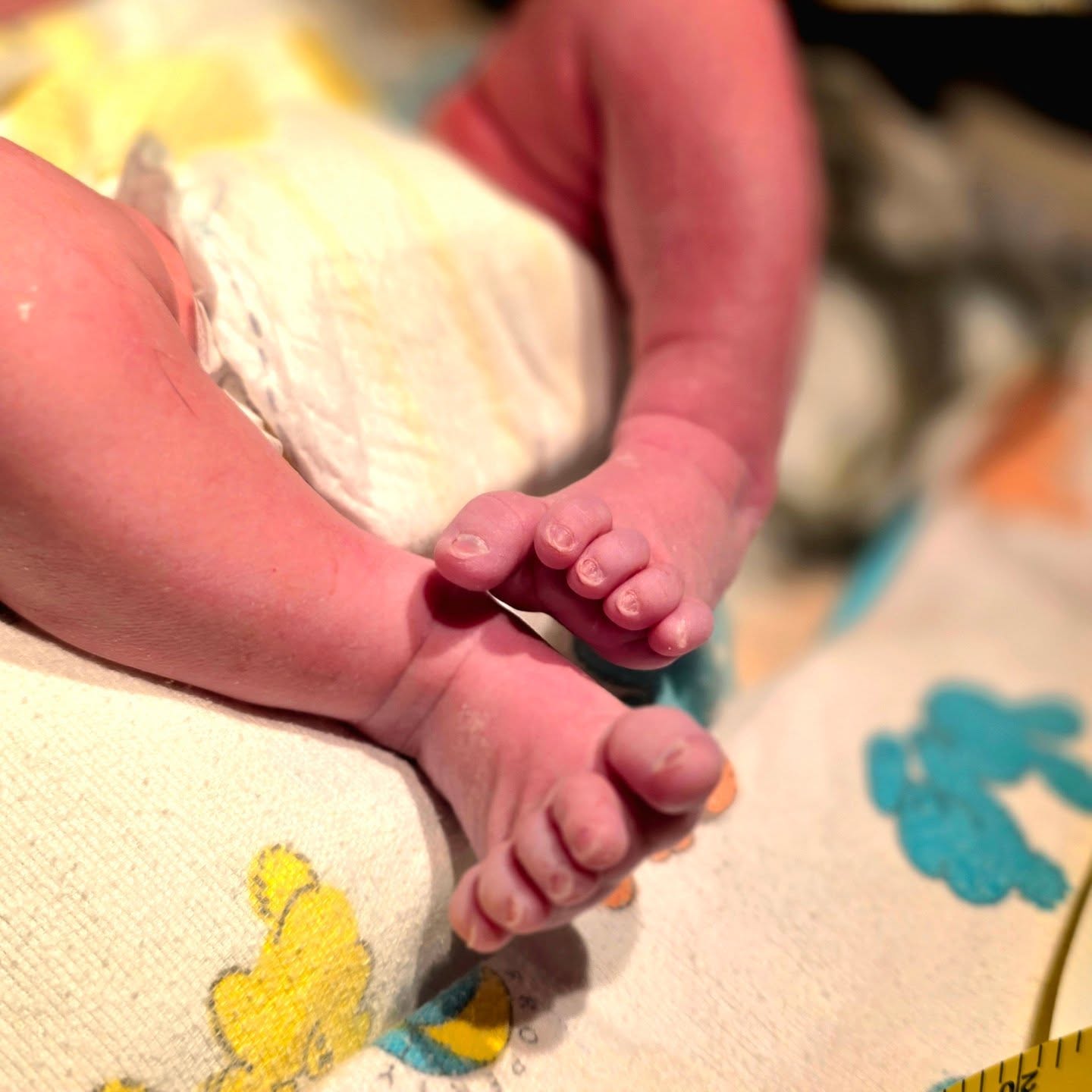 Something Sweet's newest employee arrived last week!
Please help us welcome Jameson Alexander!
#Babylove #familybussiness #babyboy