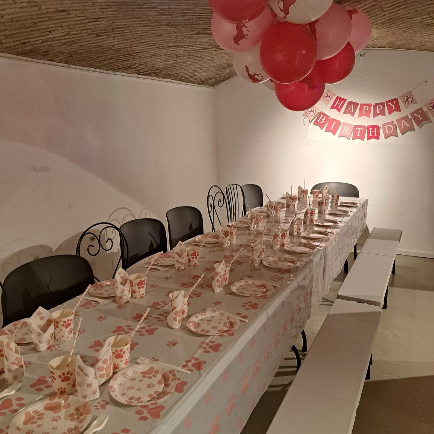 Pour l’anniversaire de Letizia c’était le thème sur mesure : animal 🐰🐶🐱🦁
Ça Ose a organisé pour toute la grande meute un anniversaire à @unrdefamille pour toute l’après midi ✨😃