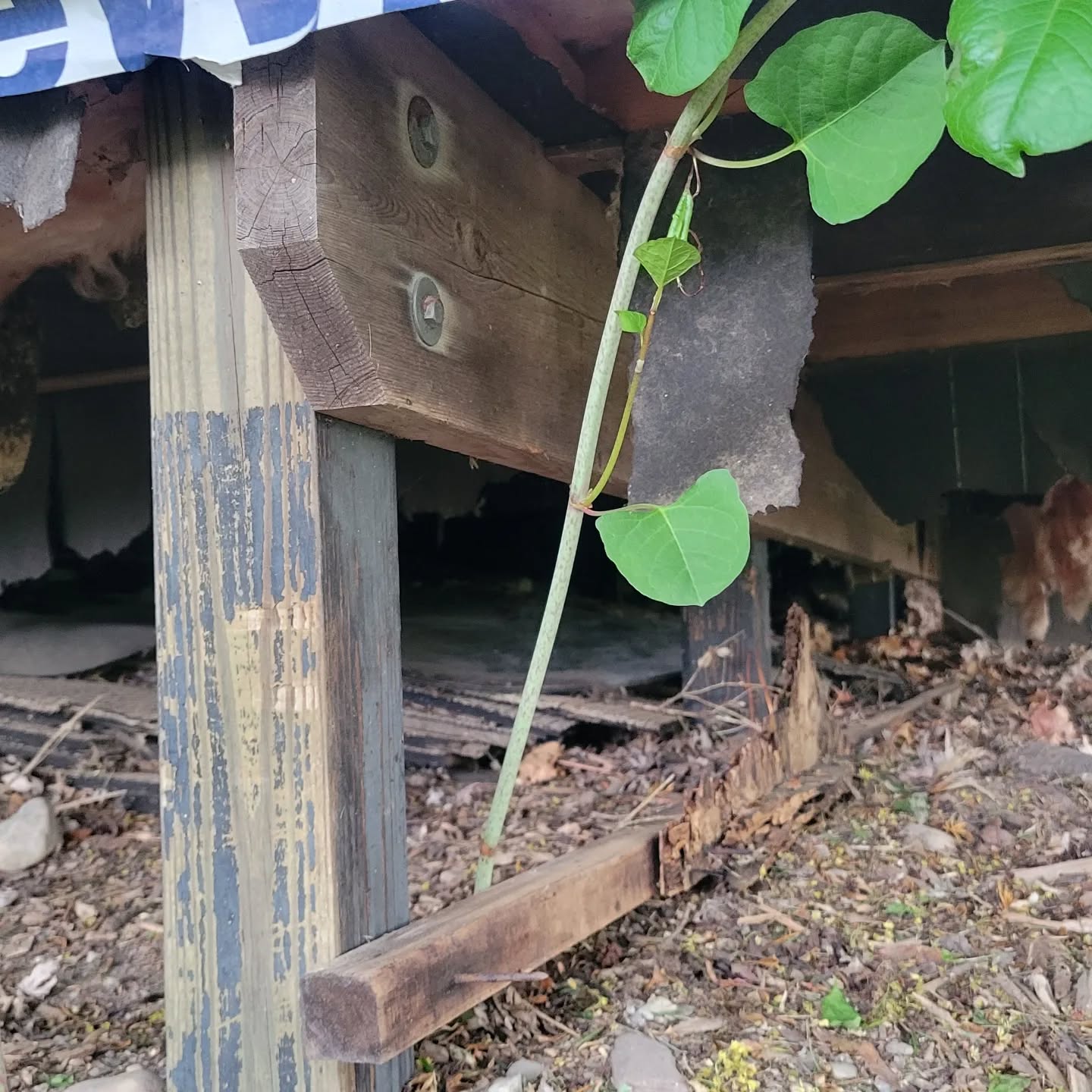 Month of May recap!
Theme of the month: Wood in contact with the ground, or even concrete, is going to rot, even if it's pressure treated. Zinc stand-off post base is necessary.
Deferred maintenence will always cost more money in the end. A house addition slipping down a hill could have been prevented 10 years ago when it was first noticed. Now substantial and costly foundation work is required before it slides down the hill.
Water will always win, we just need to stay out of its way, or effectively divert it away.
Lastly, steel is really my favorite building material. So strong, so effective, with a beautiful stress/strain curve that is measurable. Removing a load bearing column in a basement is not difficult, when the steel is reinforced for a new load path.
Hope you all have a great June! Our family is expecting a second Engineering marvel! :)