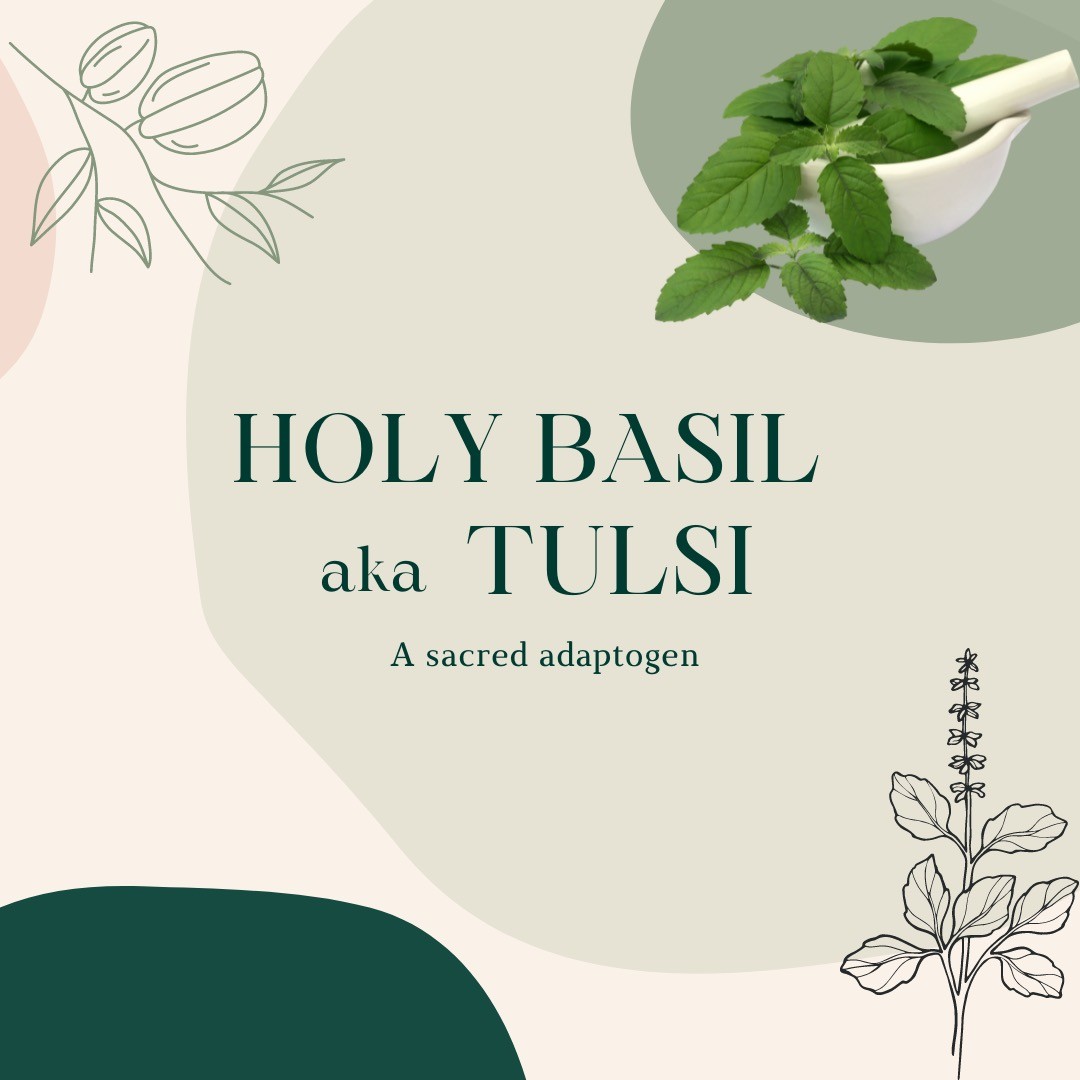 Holy Basil, aka Tulsi pt1.... WE CAN'T SAY ENOUGH ABOUT THIS HERB! It's an incredible adaptogen with such a huge spectrum of benefits...swipe through to learn more, and pick up some Tulsi tea next time you're in a grocery store ;)
#holybasil #tulsi #herbalmedicine #ascension #naturopathicmedicine #naturopathy #herbalism #fightcancer #fightdepression #detoxify #foodismedicine