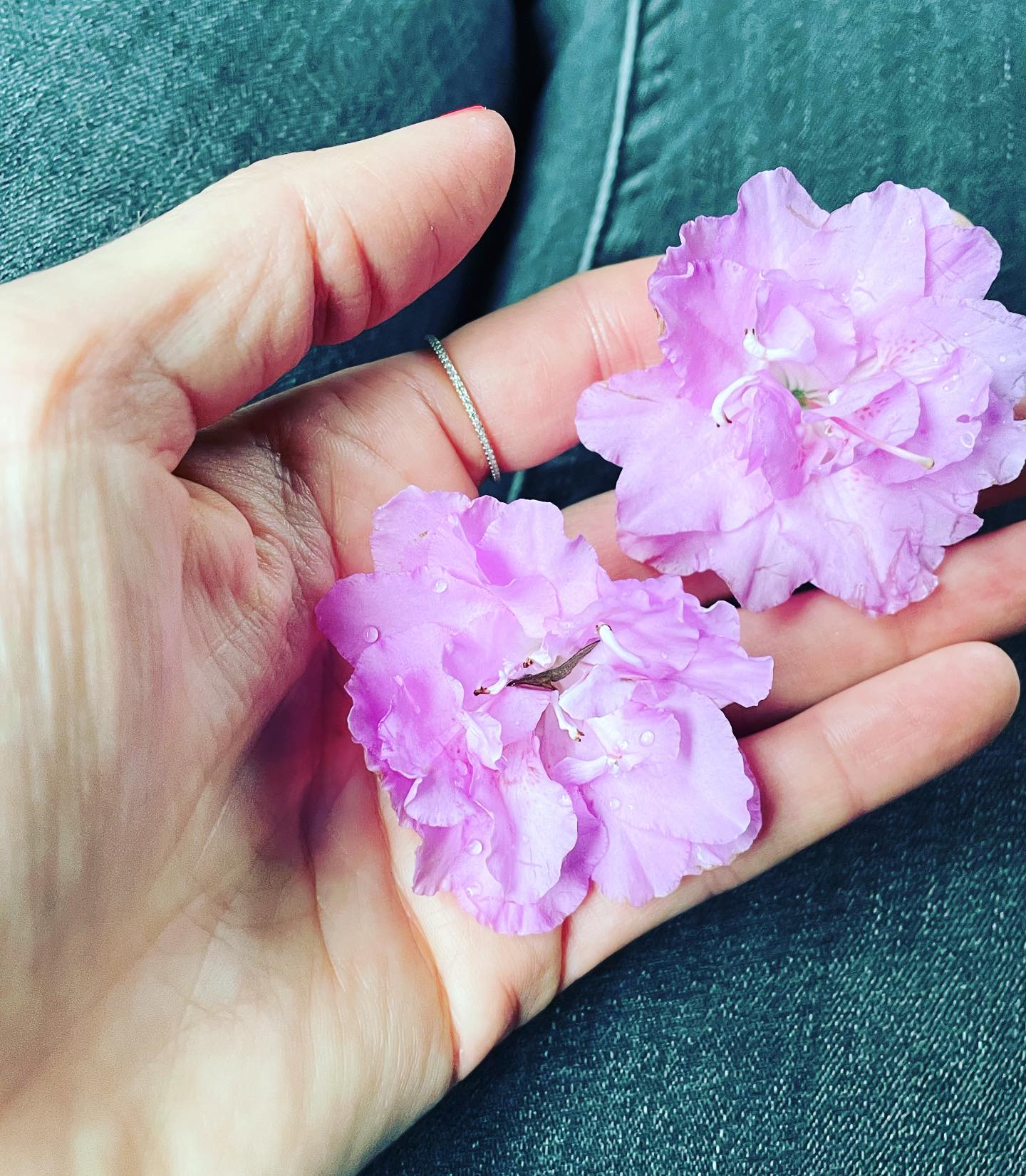 ✨Happy Mother’s Day✨ #motherslove #happymothersday #celebratemom #loveblooms