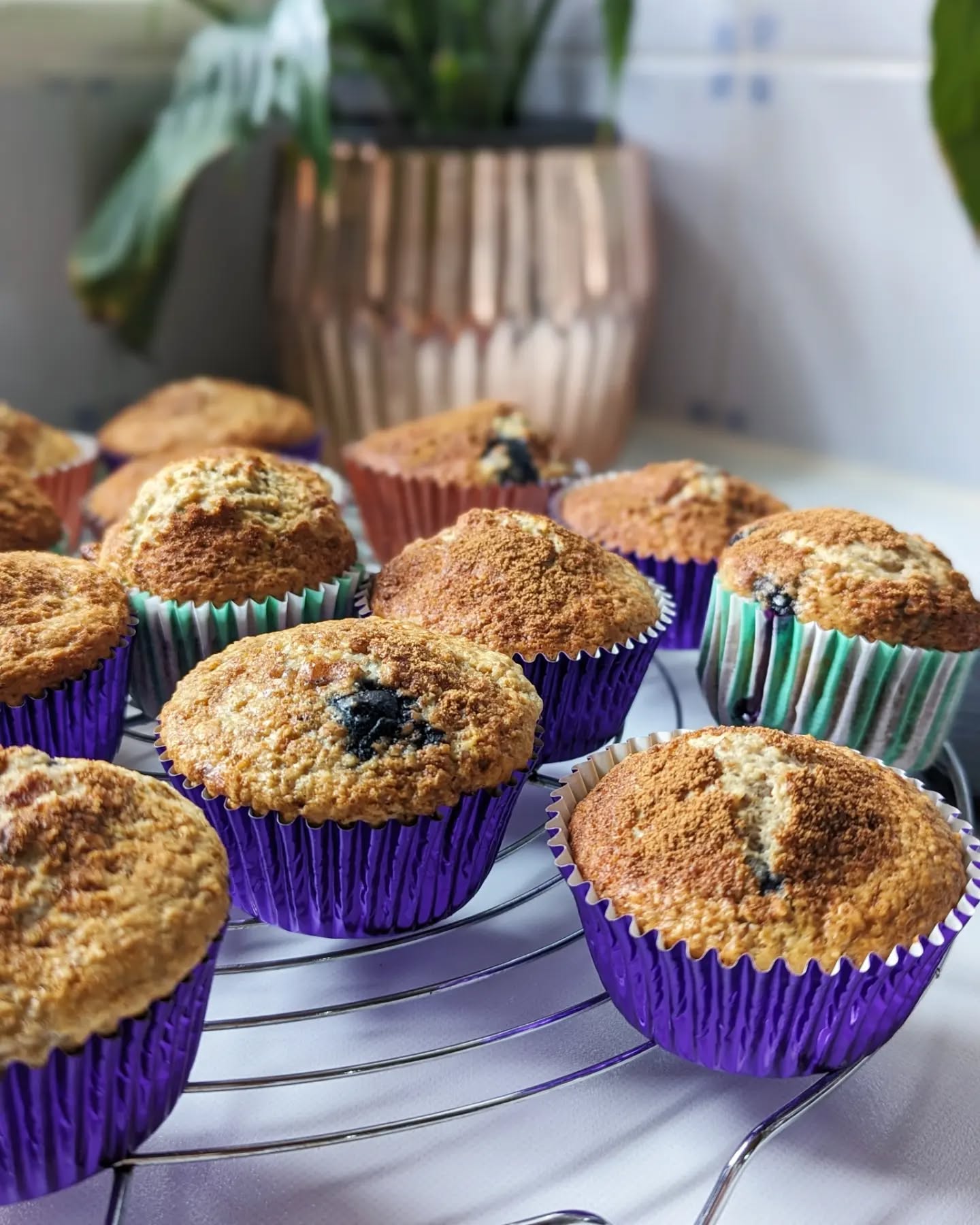 TESTING ๐ญ Blueberry Banana Protein Muffins ๐ซ gluten & refined sugar free, all the goodness included (whey protein, flaxseeds, greek yogurt) & still tasting like a treat ๐คโจ
#prismbakes #proteinmuffins