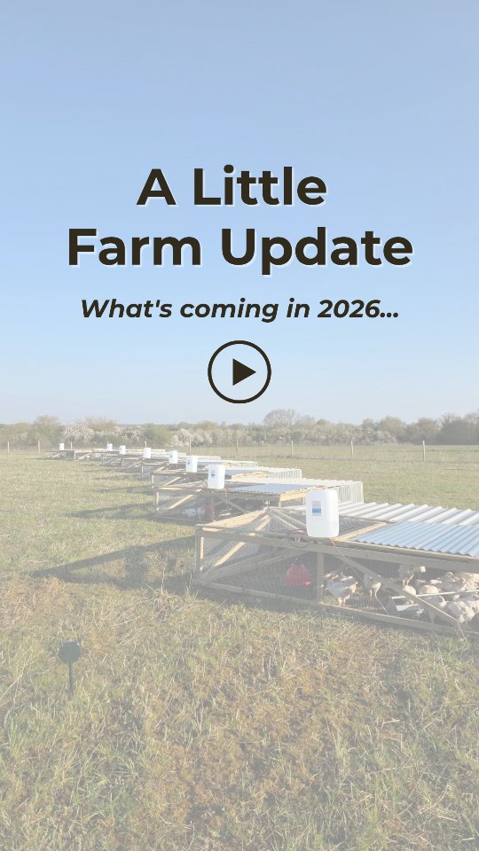A little update from us on this glorious sunny spring day! โ๏ธ๐ฟ
#pastureraisedpoultry #SupportLocalFarms #pastureraisedchicken #OrganicChicken #castorandailsworth