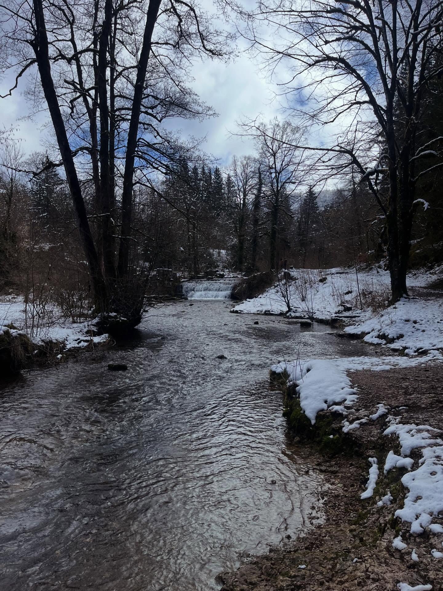 Les Cascades du Hérisson sous les flocons d’hier matin ❄️🙂
Puis déjeuner au @le_bistrot_du_saut_girard ! Un régal 😋
#juratourisme #cascades #rando #neige @juratourisme @lescascadesduherisson