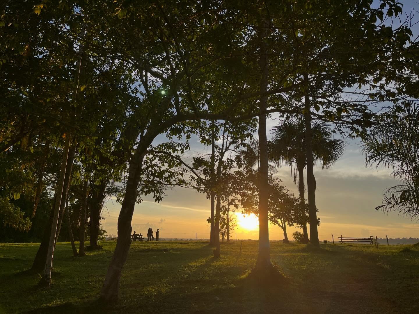 Stunning by day and night #losamigosbiologicalstation #amazon #peru