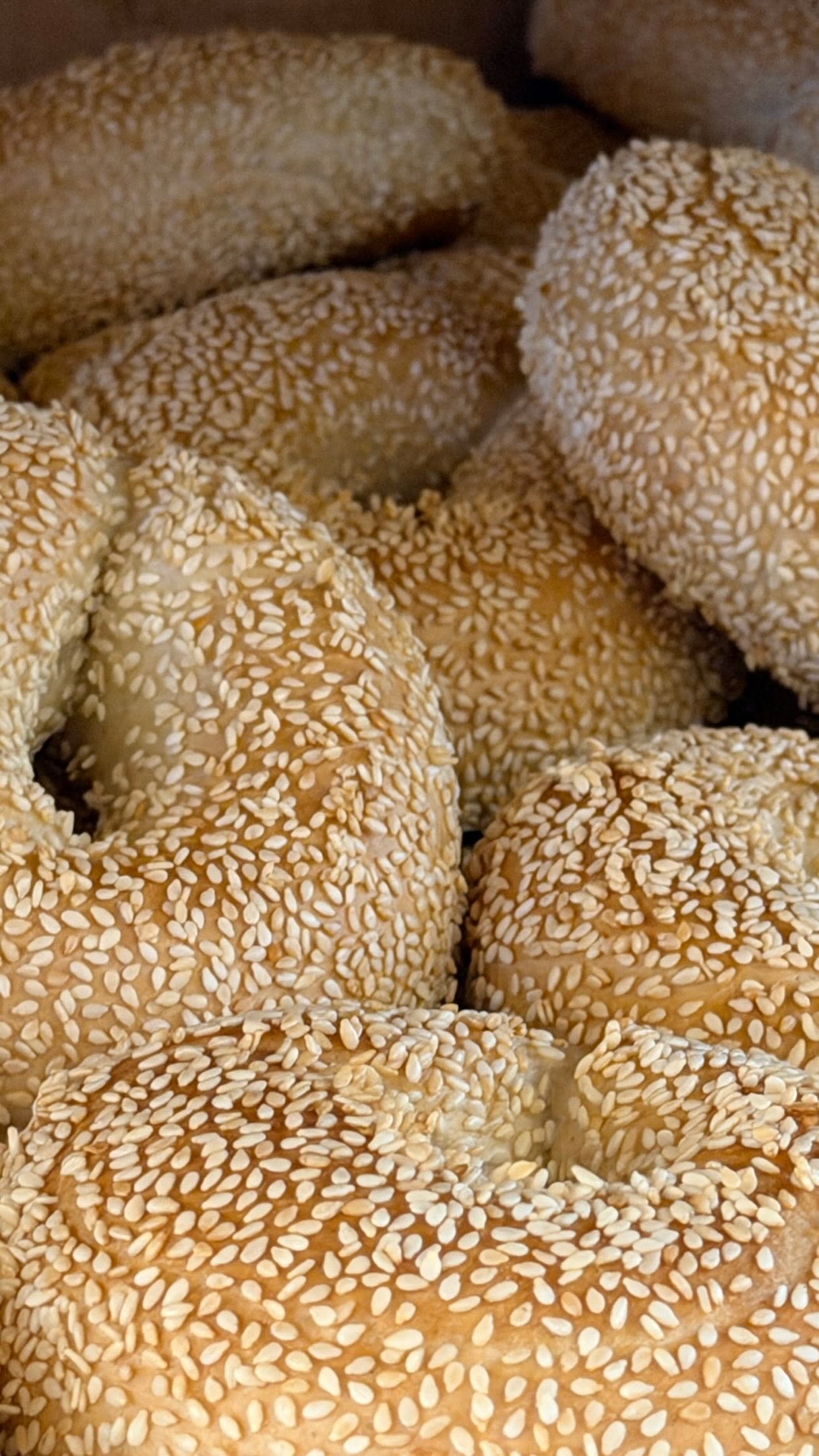 It’s not our fault the wind lew us here again 👀😅
#bagels #foodrecs #londonfood #foodspots #bagellover