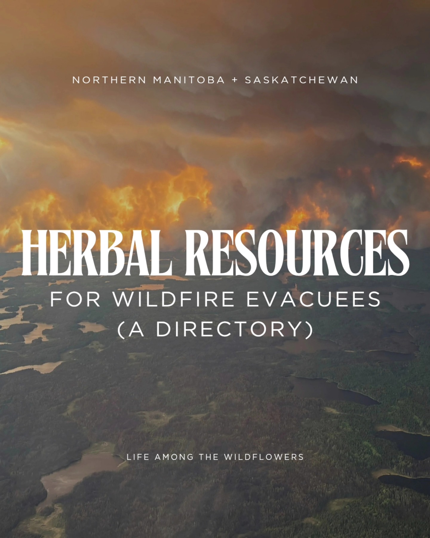 Please see the following directory for herbal support in MB/SK for wildfire evacuees. This summer is going to be anything but normal but I wish everyone well and please take care of yourselves. ππΏ
Winnipeg Area:
β’ @awakenherbs - offering both nervine and respiratory teas + oxymels. Message Kris on IG or email hello@awakenherbs.com
~
Saskatoon + Prince Albert Areas:
β’ @earthwisdomapothecary (Martensville) - Hailey has a respiratory tea blend and a few single tinctures available.
β’ @prairie.roots.botanical (Saskatoon area) - They have a few respiratory tinctures, including a lung support blend.
β’ @herbalemily (Saskatoon) - Emily has an assortment of single herb tinctures for both respiratory and nervous system support.
β’ @wisdom.weaver.medicines - Message Tanya to see what is available.
β’ @nurtured.kin (Saskatoon) - Delanie has tinctures and a tea blend, or can do a custom tea/preparation! Dm or email nurtured.kin.tea@gmail.com
πΈ
*This is a late post as I balanced work + school on top of evacuation life and the emotional rollercoaster of not knowing what would happen. Many communities are returning home but I know so many folks are still evacuated or who may extend their stays due to poor air quality or lack of services back home.