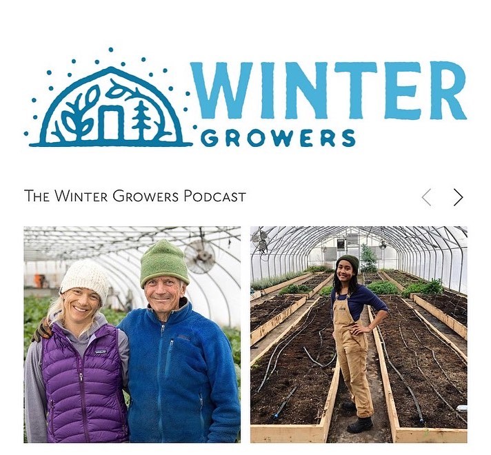 Announcing the release of Season 3 of the Winter Growers Podcast! ❄️🌱
Host @farmerclara interviews Kelli and Mike Roberts of Roots Farm @rootsfamilyfarm in Tiverton, Rhode Island. Mike and Kelli intensively farm 1.5 acres using 6 moveable unheated high tunnels. We talk about the advantages of using moveable tunnels and how they maximize production during all four seasons, both in time and space; the challenges of managing humidity in winter tunnels with row covers; how it took 6 years after stepping back from their off farm jobs to find financial stability for the farm business; and so much more. And we round out our conversation with the Lightning Round Questions including ‘What is your learning edge, and where do you feel like your abilities or understanding as a farmer could grow?’
Listen to our conversation wherever you get your podcasts (link in bio). As always, a big thank you to Farmer Jesse, Farmer Jackson and the crew @notillgrowers, and the show’s sponsors @johnnys_seeds, @rimolgreenhouses @growingformarketmagazine, @tunnelvisionhoops, for making this podcast possible.
Tune in each Monday for a new episode. I have an amazing lineup of guests this season including a fun Listener Q & A episode with Eliot Coleman. Happy listening y’all!
#wintergrowerspodcast #rootsfamilyfarm #wintergrowers #notillmarketgardenpodcast #winterfarming #moveablehightunnel #fourseasonfarming