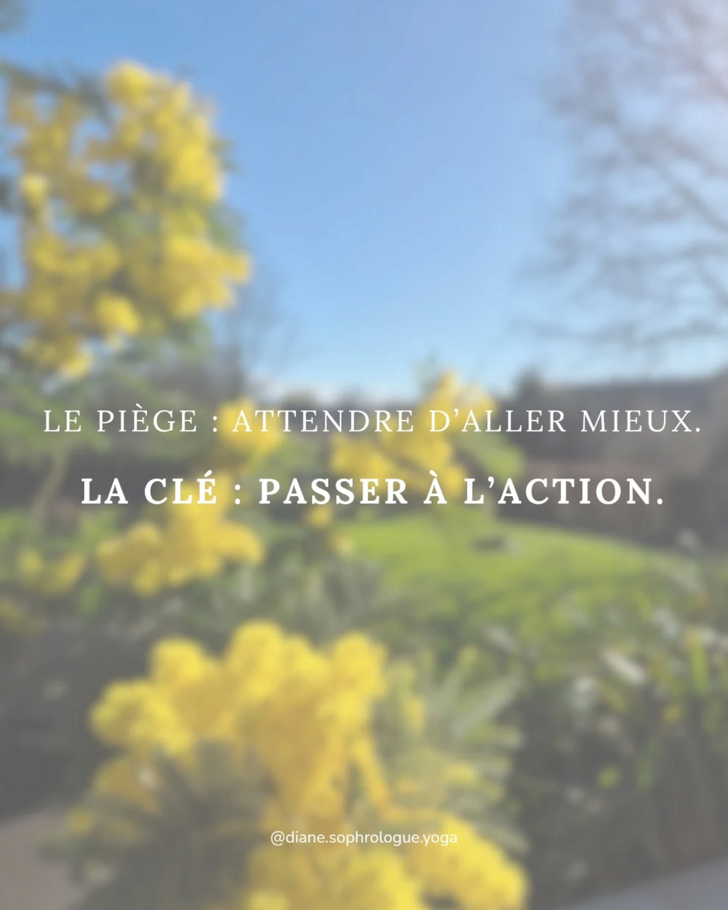 Plus d’énergie.
Plus de motivation.
Le bon moment.
Mais ce moment n’arrive pas toujours.
Et si la clé était ailleurs ?
Parfois, c’est le mouvement qui crée le mieux.
Un petit pas suffit pour commencer. 🌱
#developpementpersonnel #psychologiepositive #bienetre #therapeute #psy
