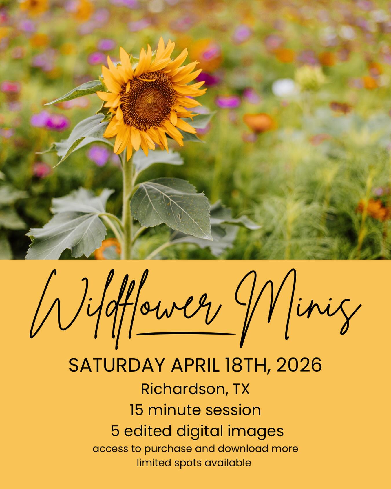 All those thunderstorms are bringing the flowers in nice and strong! While I may not love the allergies that come with the season, I absolutely LOVE this season in Texas. I swear it is the greenest time of year, and the wild flowers are gorgeous!
Whatever the occasion, come snag a mini session in the best time of year! More details in the link in bio to book yours - limited slots available!
#texasphotographer #dfwminisessionphotographer #texaswildflowers