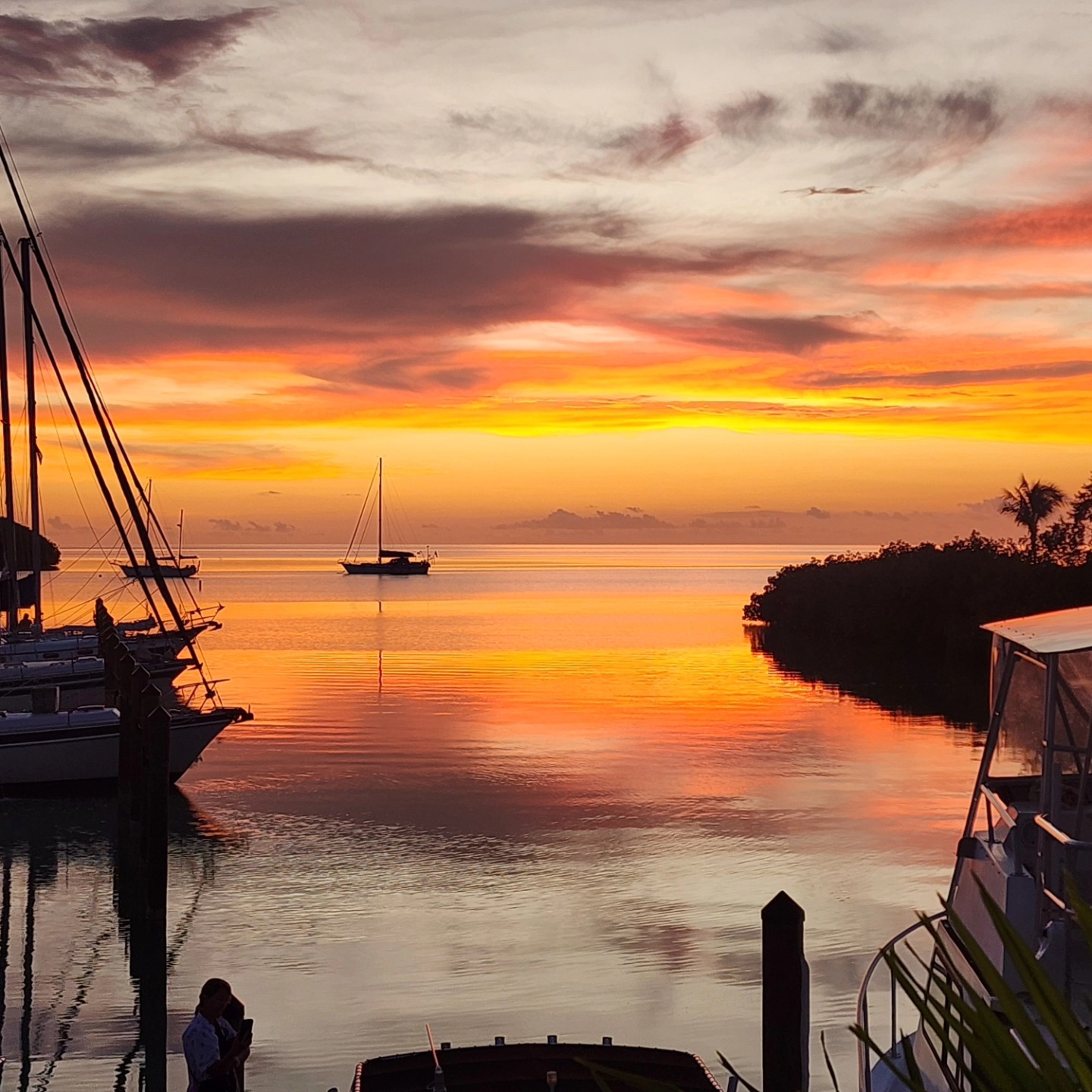 Sunset from shore tonight or where we work. Our boat is anchored on the far left of pics beyond Marina boats. Would have loved to seen from the boat but sometimes you have to work. Sunsets have been gorgeous the past few nights with sun going down but it is after the sun is down that we have had this tremendous colors!
#sunset #sunsetphotography #SunsetViews #sunsetlovers #sunsets #sunsetsky #sunset_pics #LivingTheDream #travelblogger #youtubechannel #piratetimesailingadventures #liveaboard