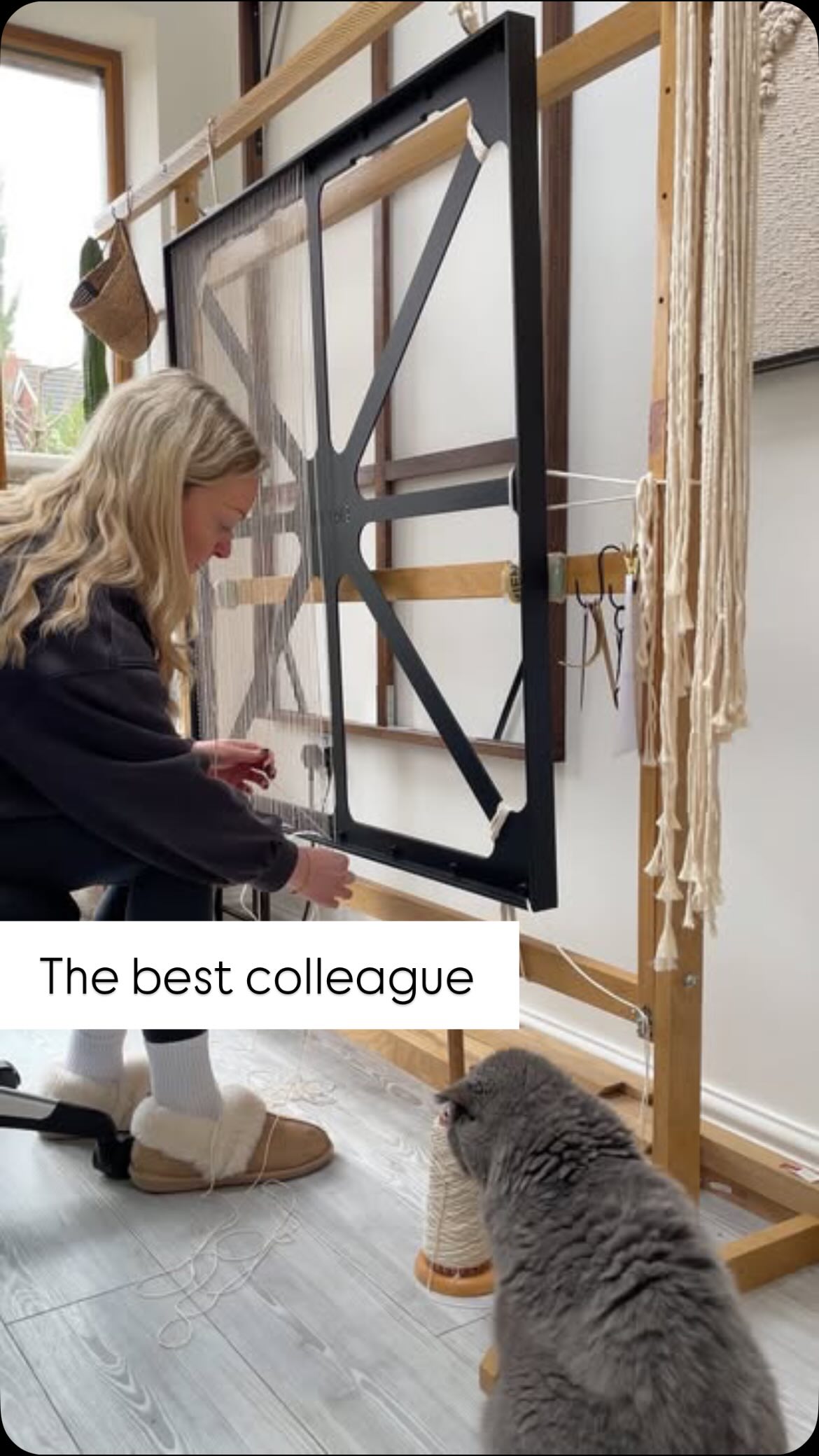 More to come.
Studio moments (and colleagues) that keep me going.
Current commission — part two of three.
Part one reveal coming soon.
.
.
.
.
www.ellecollins.com
UK artist. Birmingham artist. Wall art. Contemporary art. Art for interiors. Art for interior designers. Sculpture art. Textile wall art. Coastal style. Organic modern interior. Organic modern design. Texture art. Art for interiors. Statement art. Unusual art. Tactile art. Subtle art. Inspired by nature. Nature inspired art. Neutral interiors. Neutral home. Sustainable art. Sustainable design. Art collectors. Minimalist art.
#sculpturelwallart #contemporarytextileart #neutralinteriors #calmart
#inspiredbynature