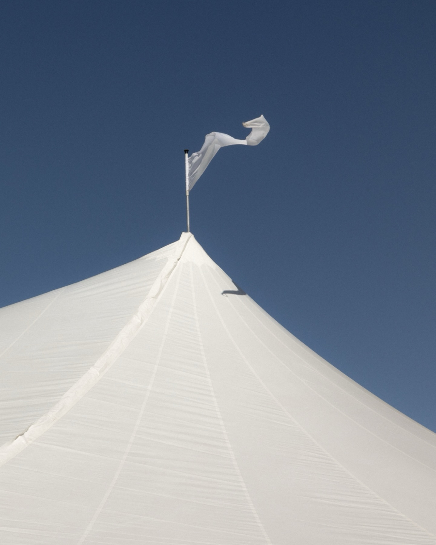 Clearly a big fan of details over here… 🌼🥐🫖
•
•
Planning @ryleepaigeevents
Photography @ryahaddisyn.photo
Florals @petalcollectiveomaha
Venue @zeniaomaha