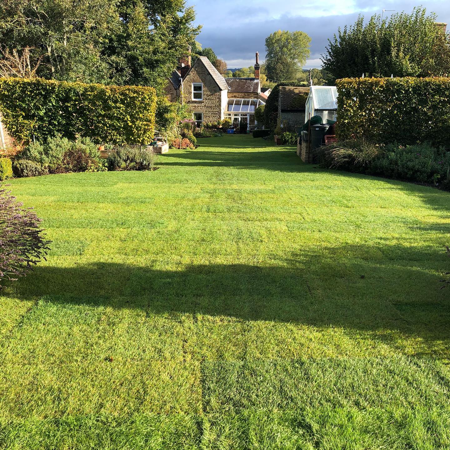 The uneven moss filled lawn taken up, levelled and re-turfed. #SteepleAston