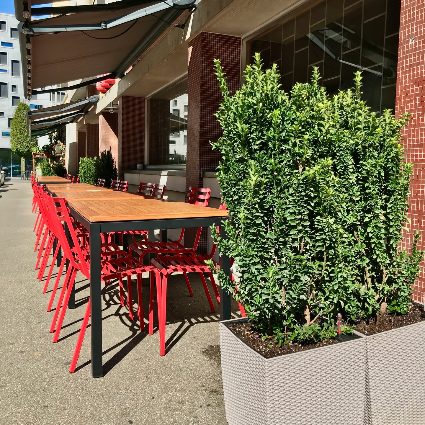 We're open again after our holidays! Come and check out our new plants outdoors and the beautiful new bathrooms (decoration work was overdue!)😮. And enjoy our food, of course, for example this week's lunch bento box with crispy & juicy fried chicken😋
···
#miakeizakaya #miakeizakayabasel #izakaya #japanesefood