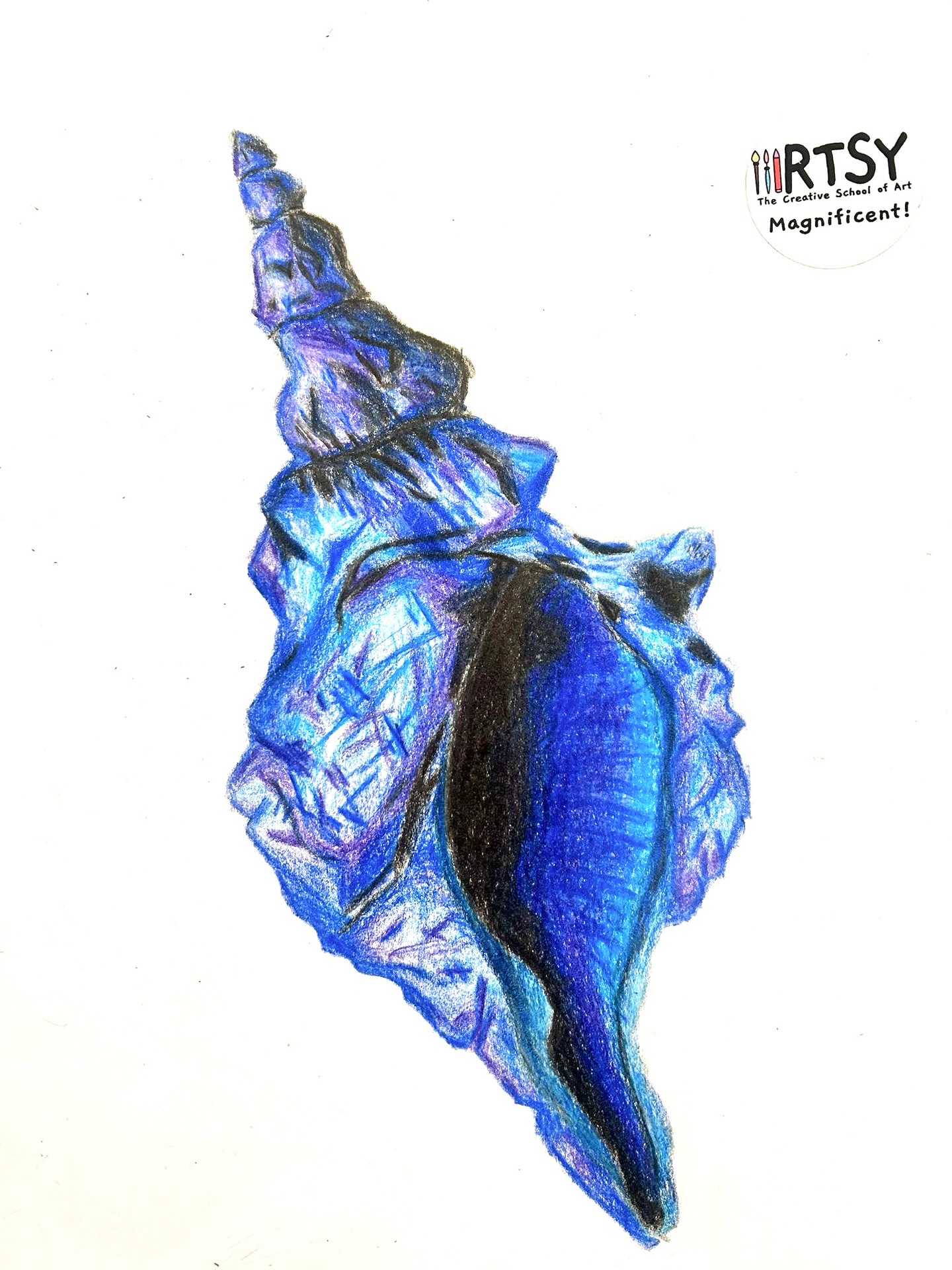 Exploring Line, Shape, Form, Colour and Texture Through Seashells 🐚✨
Students explored the elements of art while carefully colouring beautiful seashells. Focusing on colour blending and tonal values, they observed the natural patterns, textures and delicate details found in each shell.
A wonderful study in colour and observation. Well done, RTSY students! 🎨👏
#enfield #artschool #kidsart #kidsartclass #londonart