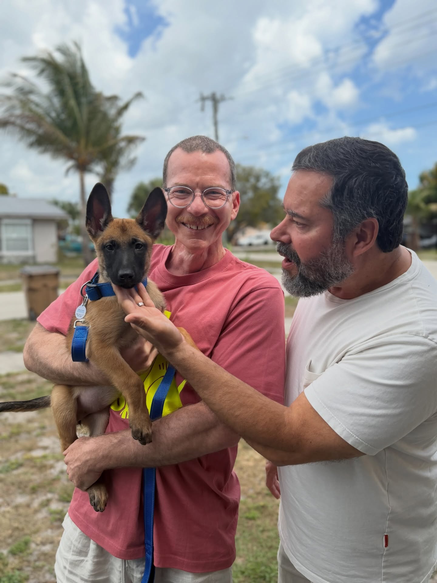 A beach girlie!
Cherish now Gia is off to live the beach life down in Miami Beach. She’ll be local and I can’t wait to see what a beautiful active companion she’ll be for Milo
Cherish Lady Gia Sophia vd Hunde der neuen Äre “Gia”
•
•
#activecompanion #belgianmalinois #malinois #akc
