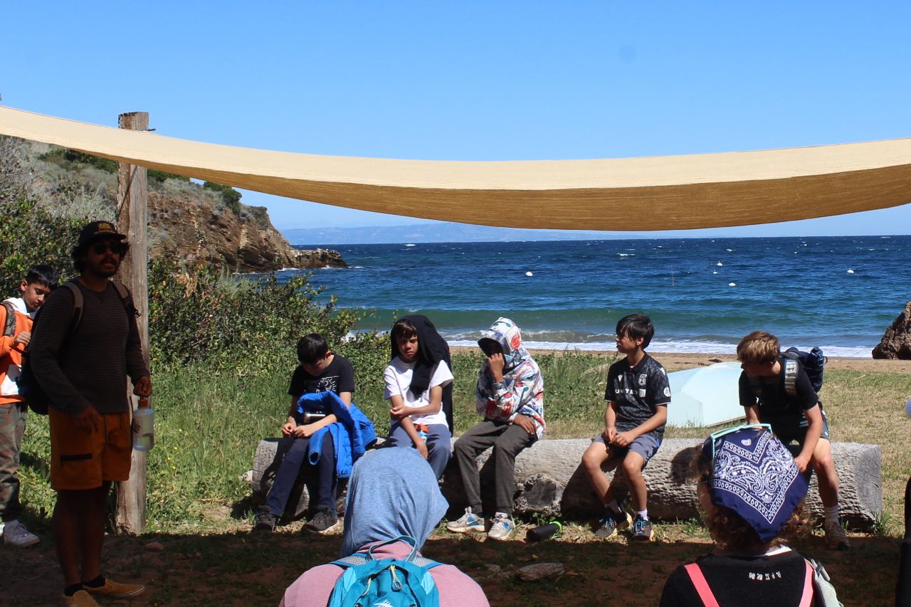 Another great week at CELP! This week, our students challenged themselves on our rock wall, explored ocean worlds under the microscope, and sampled tasty plants in our garden 🪴