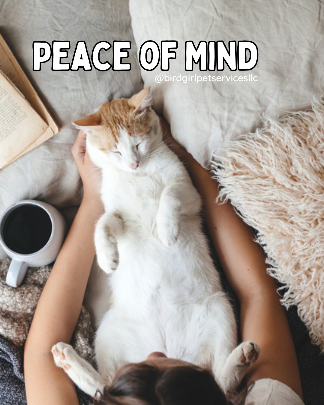 Travel should feel relaxing — not filled with “Did I remember the UVB timer?” thoughts.
At Bird Girl Pet Services, we handle:
✔ Environmental monitoring
✔ Routine feeding schedules
✔ Habitat cleaning
✔ Species-specific care
So you can focus on your trip, knowing your exotic pet is safe and supported.
Message us to reserve upcoming dates 🤍