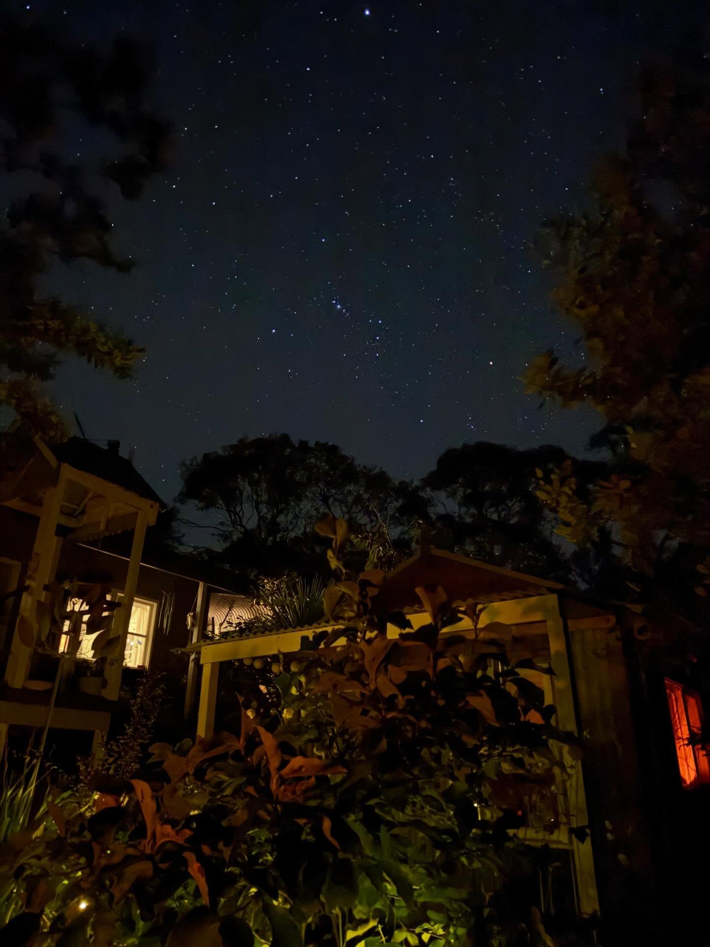 Love magical autumn nights at home 🍂✨🌙. #nightsky #leura #aussiewitch