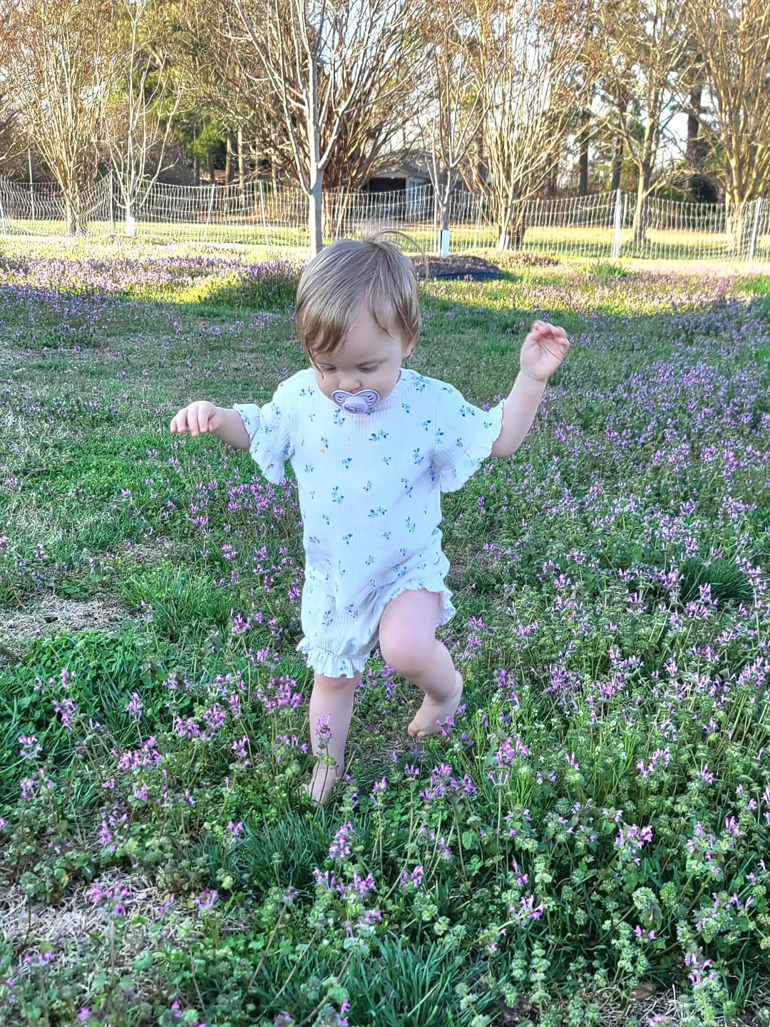 Little one exploring through the purple nettle and checking out our small orchard to see what's starting to bloom. Our plum, peach, nectarine, and apricot trees are waking up, along with our cherry bushes! That would be so wonderful if all the fruit trees we planted a few years back fully fruit this year, especially our apple trees!