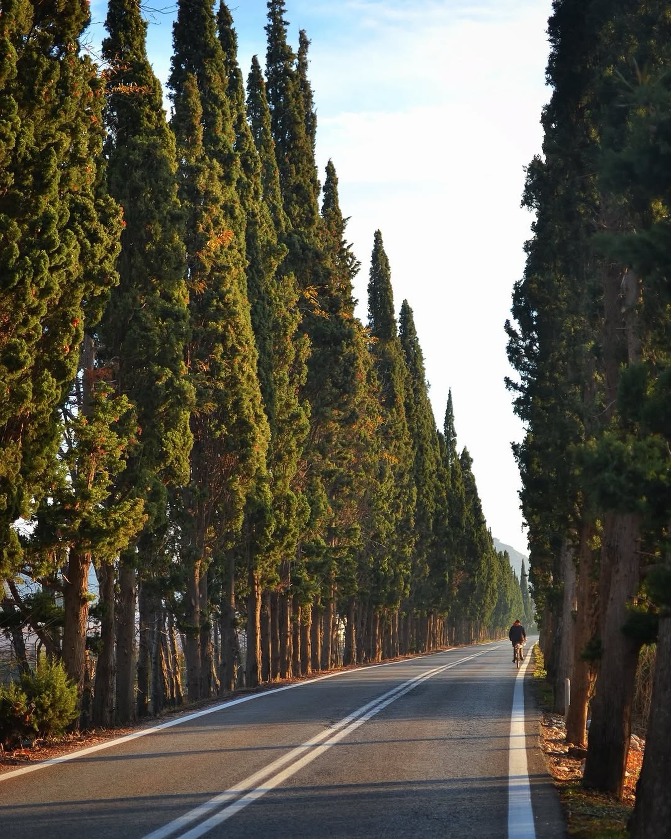 Τοσκάνη;
Όχι… Μαραθώνας. 🌿
Ένας από τους πιο γραφικούς δρόμους της Αττικής, με κυπαρίσσια που θυμίζουν ιταλικό τοπίο.
🇮🇹
Tuscany?
No… Marathon, Greece. 🌿
One of the most picturesque roads in Attica, lined with cypress trees that look like a scene from the Italian countryside.
@aretoussa_ #welovemarathon
#MarathonGreece
#HiddenGreece
#CypressRoad
#GreekLandscape
🌿
