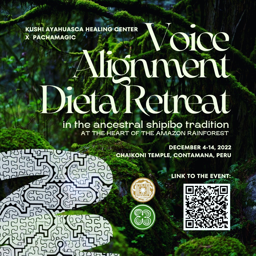@kushiayahuasca x @pacha.magic
for "Voice Alignment Dieta Retreat" in the depths of the Amazon Rainforest with Shipibo curandero Marco López, who is also the wisdom and medicine keeper from his great-aunt, the late Maestra Olivia Arévalo, and his family of healers.
🌿🌿🌿
This is a safe environment with Trauma-Informed and SE therapists and facilitators onsite. We guide the students with a code of ethics and safety, through constant regulation and co-regulation, so that you can come to experience the medicine of plants and song, through a structured and down-to-earth environment.
🌿🌿🌿
More information about this retreat is in the link at the bio or by scanning the QR code on the flyer. Upon registration you shall be answering a form with some questions to make sure this retreat is suitable for you.
🌿🌿🌿
#plantmedicine #shipiboconibo #plantdieta #noyarao #bobinsana #chiricsanango #marosa #ayahuma #chacruna #icaro #kene #ayahuasca #amazondieta #sama