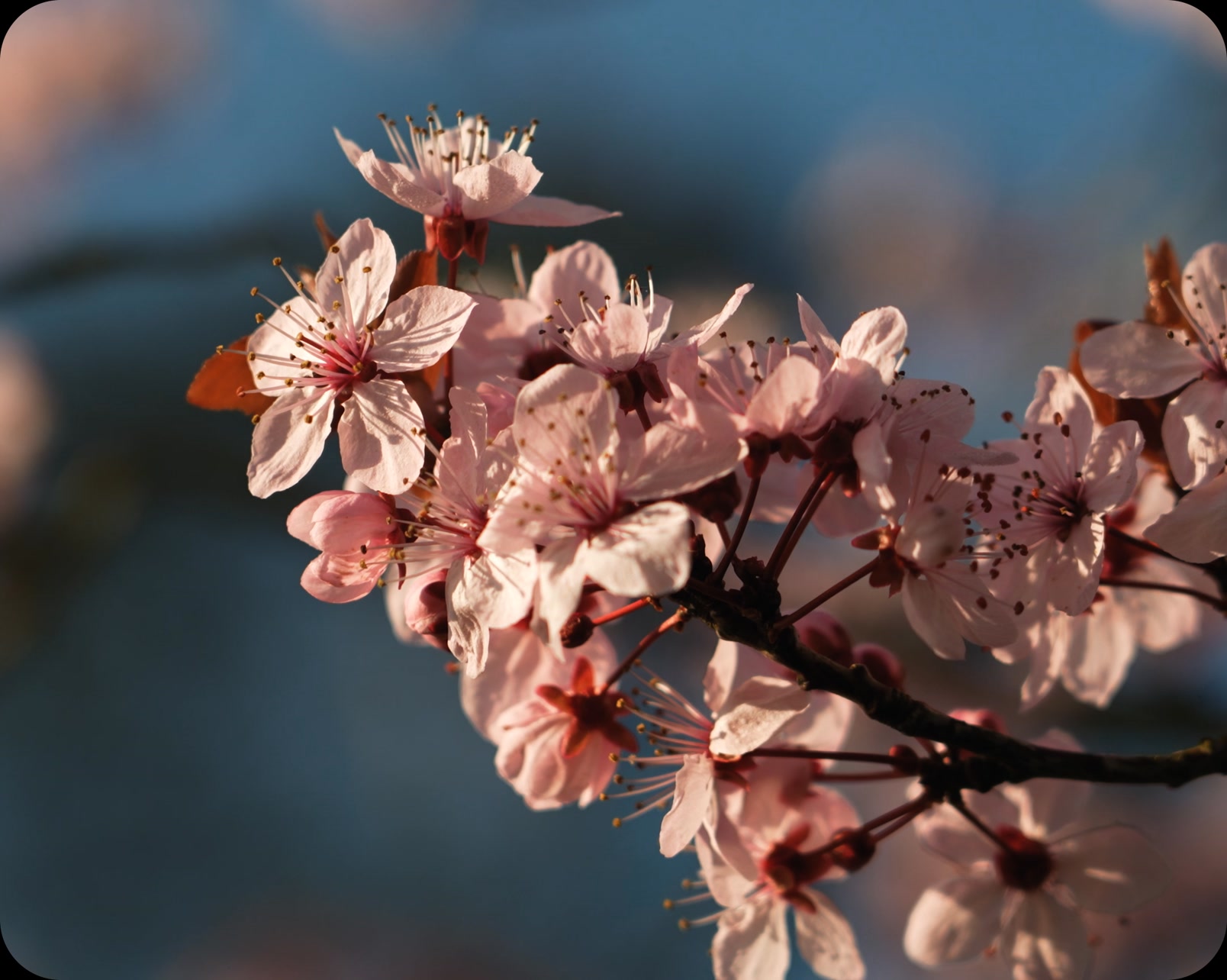 Amongst the rain and grey, we received a slither of Spring last week 💐
Not long to wait now! ☀️
What's your favourite thing about Spring? 🌳