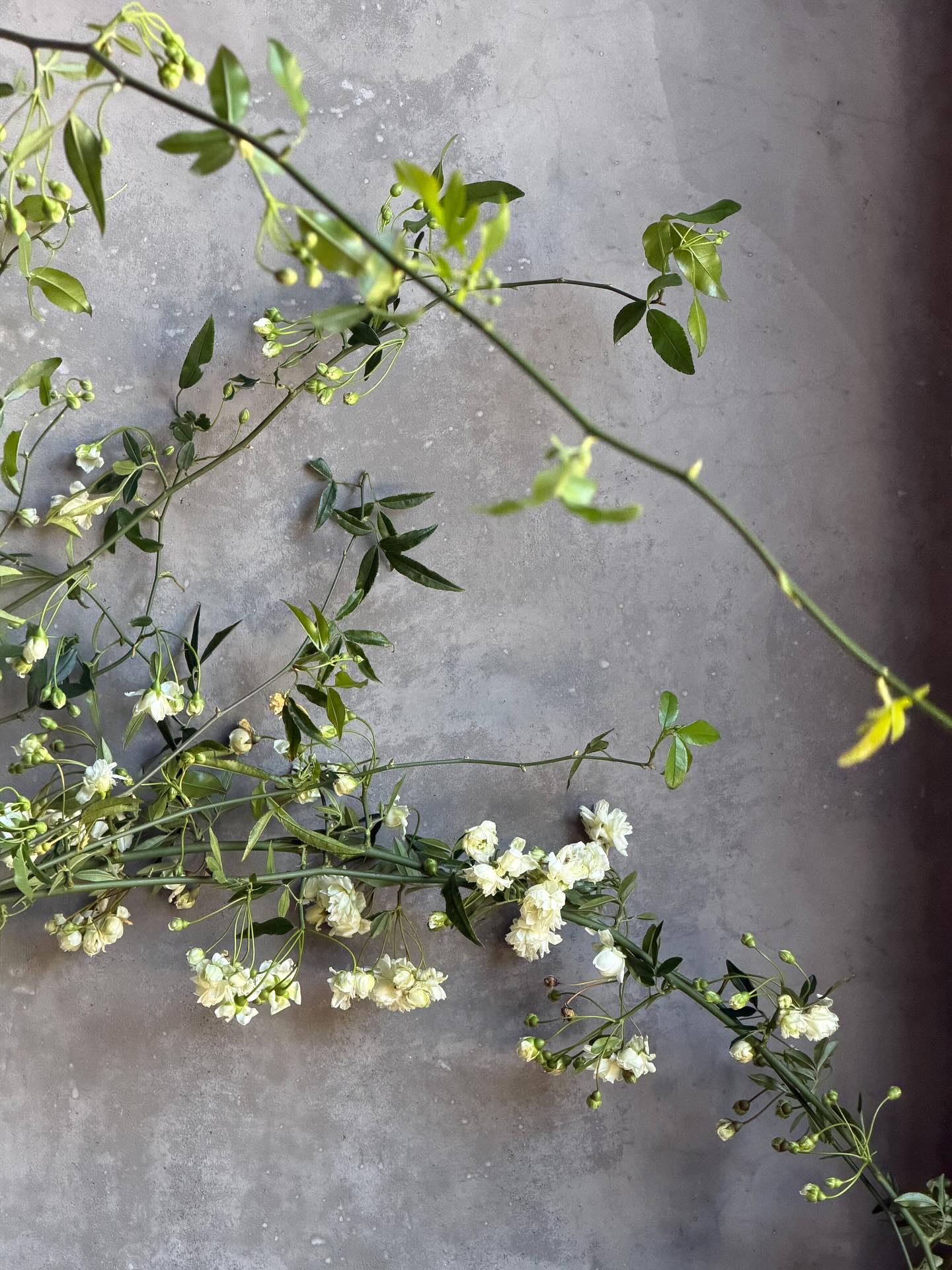 Just another reason to reach out if you are getting married in March 2027!