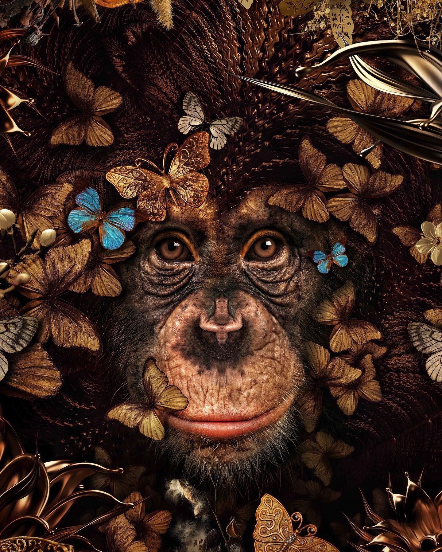 INHOUSE Herbst - 2022
@marcel_van_luit
IDEEN UND INSPIRATIONEN RUND UMS PERFEKTE EIGEHEIM.
Für die privaten Bauherren, Architekten, Planer & Die Hausherrin für ufem Stubetisch vor em Cheminée...
4'000 EX.
Frühling & Herbst.
www.Baubible.ch