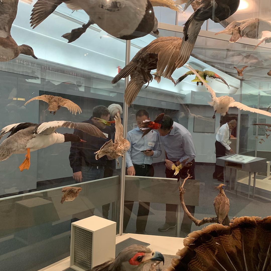 Great team event today at the ROM.#torontoteambuilding #indoorteambuilding #ROMTeambiilding #conundrumadventures