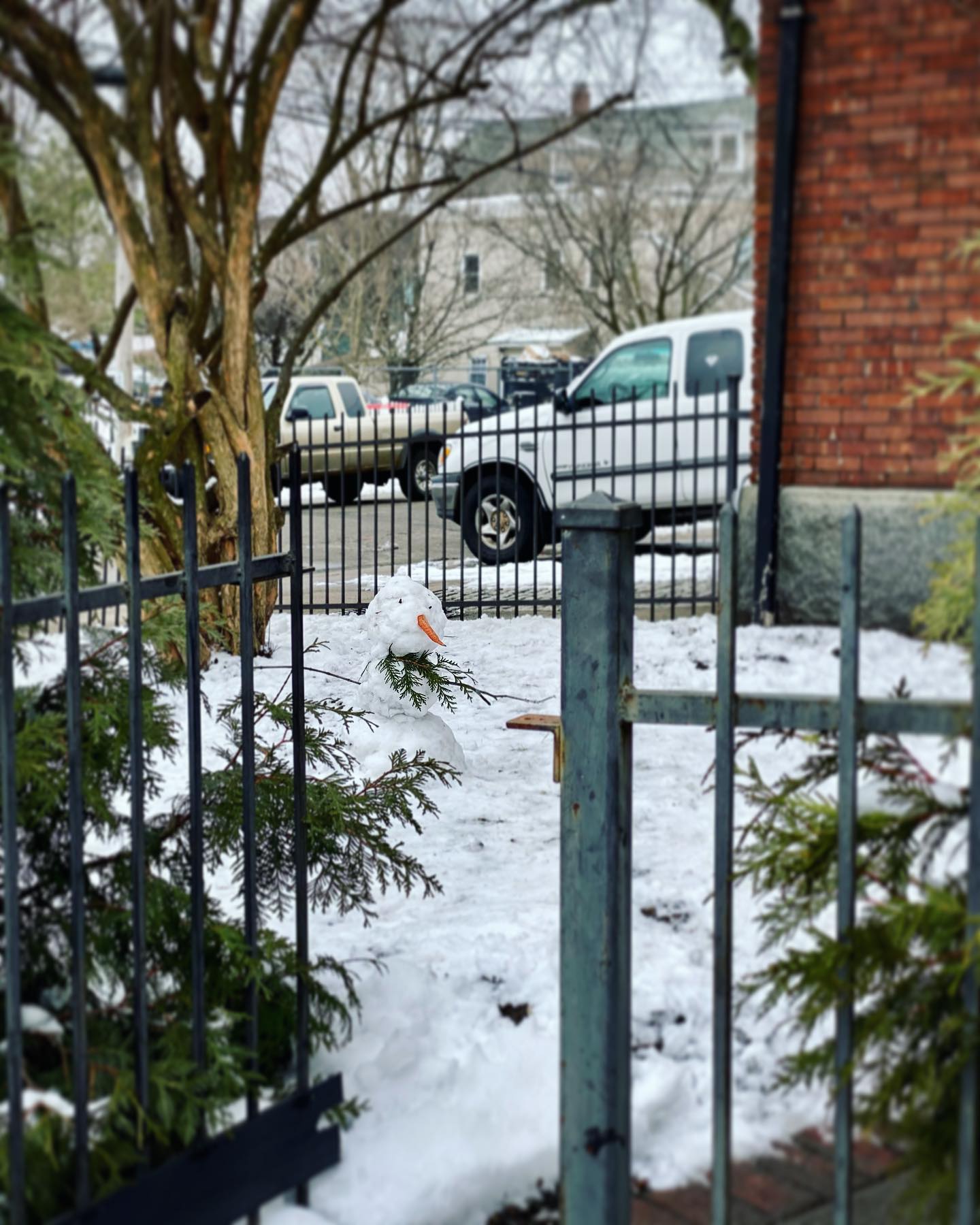 Greeted by a gift from our little neighbor buddy #simplepleasures #⛄