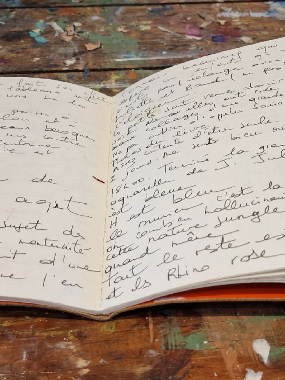 Certaines œuvres naissent d’une rencontre.
En 2023, une famille du Pays basque m’a confié un projet particulier : créer une œuvre qui raconte leur histoire.
Avant de peindre, je prends le temps d’écouter.
Je rencontre chaque membre de la famille : leurs souvenirs, leurs paysages, leurs passions, leurs couleurs.
Pelote basque, golf, montagnes d’Iraty, couchers de soleil sur l’océan, voyages…
Peu à peu, ces fragments de vie deviennent matière à création.
Commander une œuvre personnalisée, c’est imaginer ensemble une pièce unique. Une œuvre qui rassemble et qui raconte une histoire familiale.