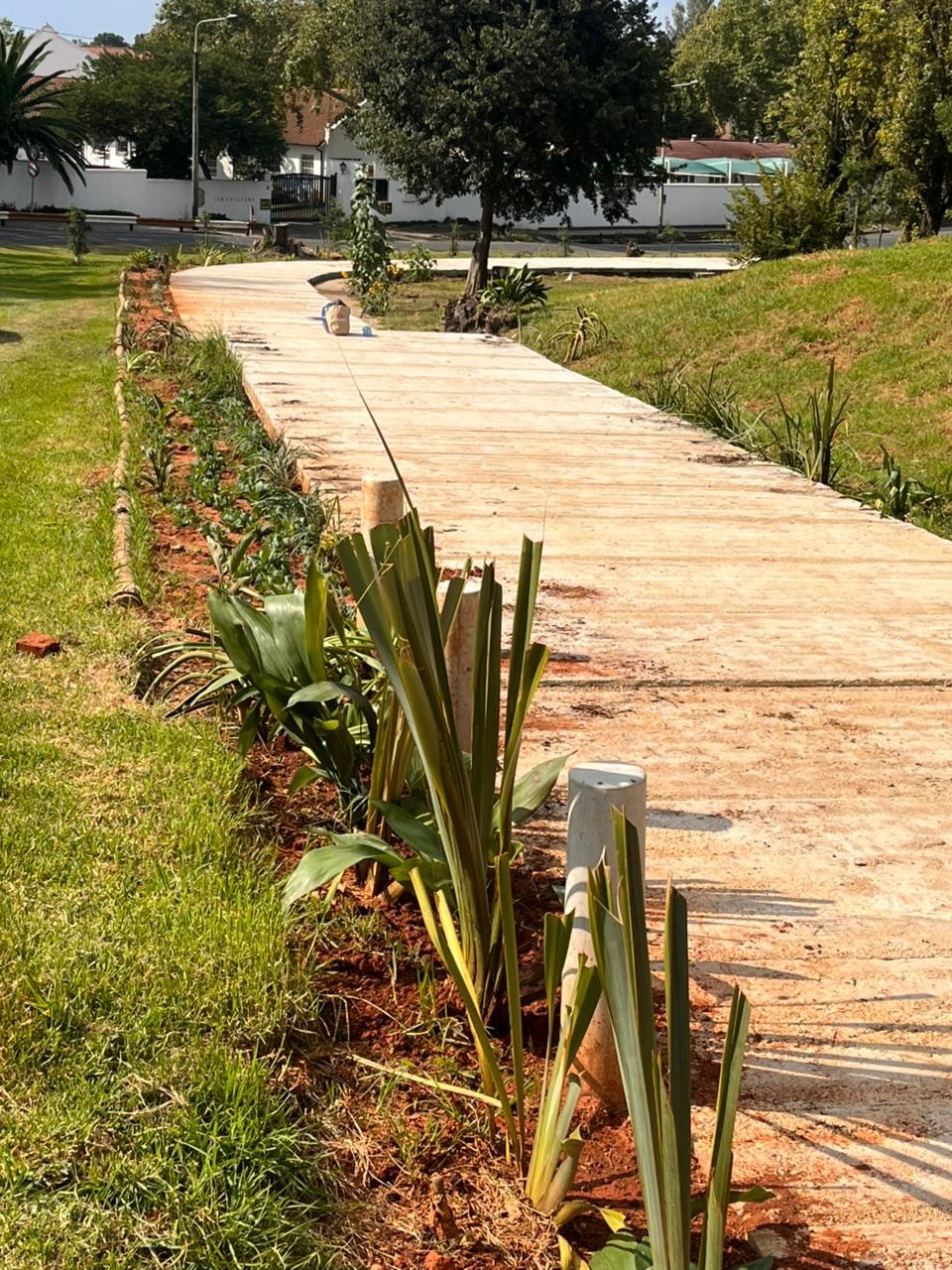 Thanks to a kind donation of plants from a Jan Celliers school parent, we’ve been able to make more progress on the gardens around the capped drain. 🙌
We always gladly accept indigenous plant donations, and if you would like to contribute please contact Fran Haslam at (+27 82 887 1469). 💚