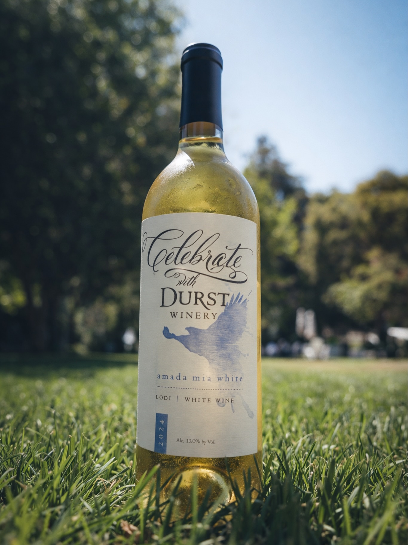 A little sunshine, a little fresh air, and a chilled bottle of Amada Mia White.
Not a bad way to spend an afternoon at the estate.
Come join us this weekend. ☀️
#DurstWinery #LodiWineCountry #DrinkLodi #WhiteWineSeason #SipDurst