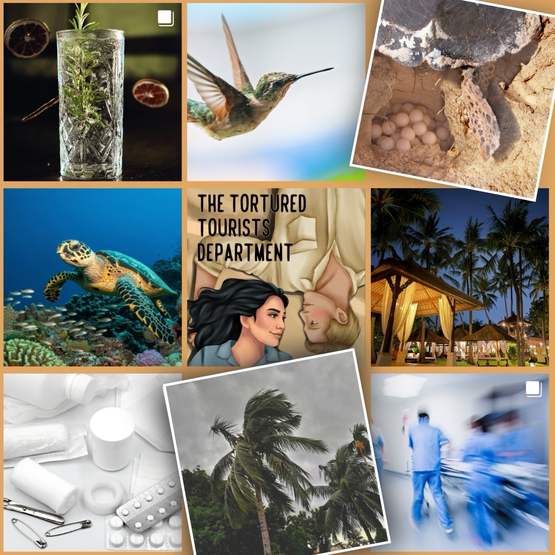 The vibes are vibing 🐢🏝️💛🩺🌪️🍹🩹
The Tortured Tourists Department is out April 14!
.
#romcom #romancenovella #2026bookreleases #aprilreleases #forcedproximity