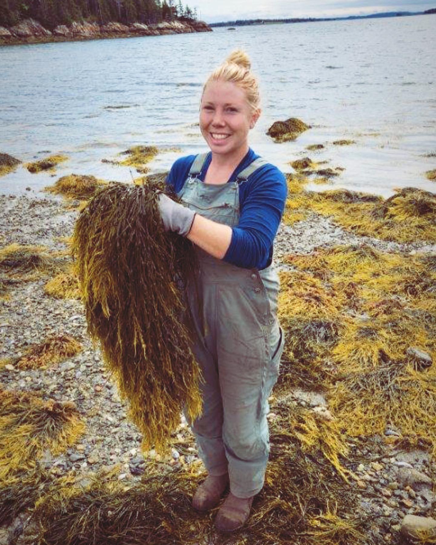 Farm Managers Jamieson & Jeremy here 👋 We’ll be helping @farmerclara out with sharing what’s been happening on the farm through social media. Having moved to Maine from Hawaii in April, we are ecstatic to soak up the fall vibes here on the Cape! As our last week with a full crew draws to a close, we can feel the quietness of winter approaching. The sunrises linger, the morning fog hugs the ground, and we are busy with projects to prepare the farm for winter - adding seaweed and hay to our compost, harvesting storage crops, moving tunnels and getting winter plantings in the ground.
