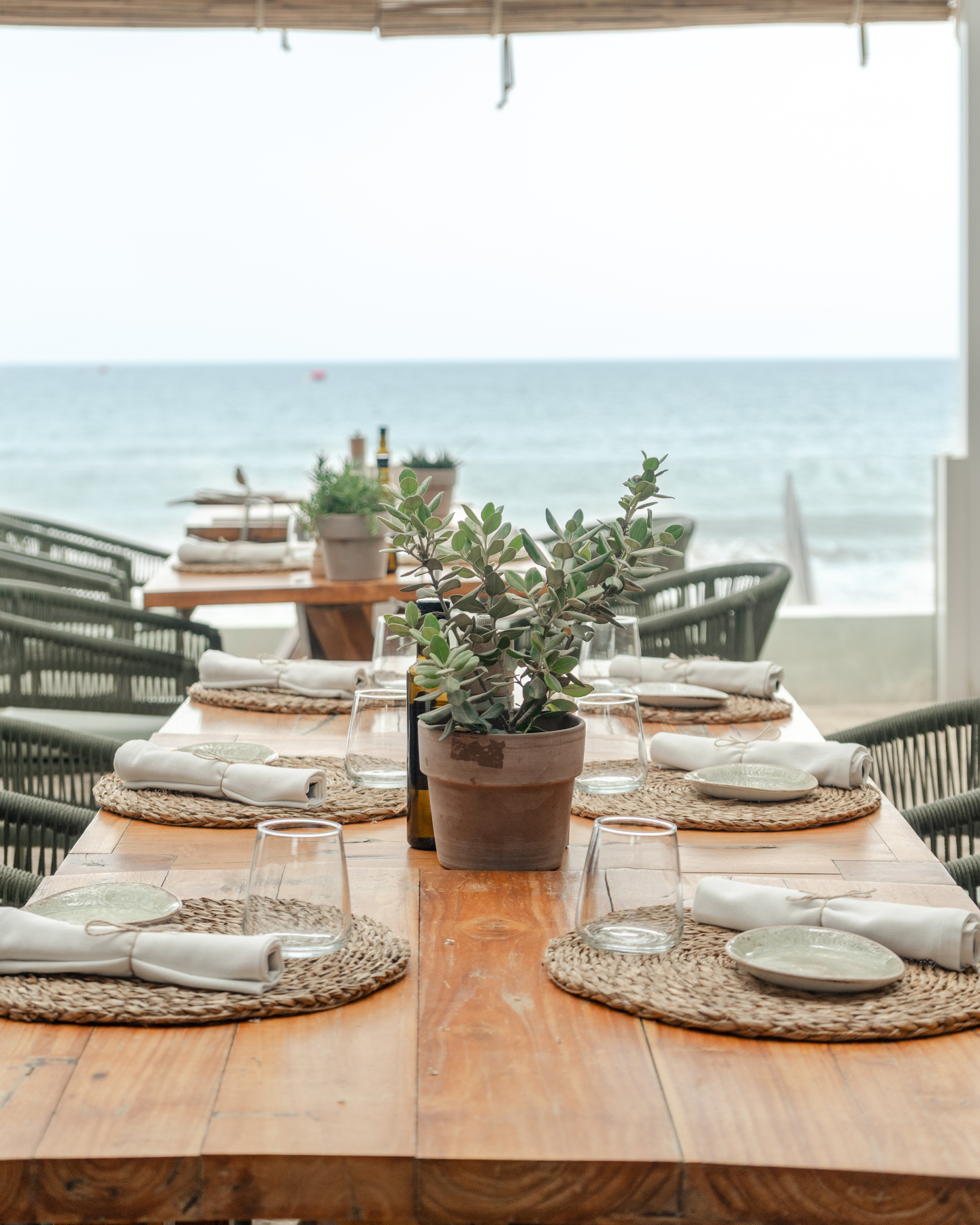 Front row seats to the sea 🌊🍴
Long tables, salty breeze, and that barefoot-boho charm that makes everything taste better.
This is how we do beachfront dining at Luuma.
#luumabeachrestaurant #luumabeachmarbella #marbellaweekend #marbellatrip #marbellalifestyle #marbellaspain #marbellavacation #elrosariobeach