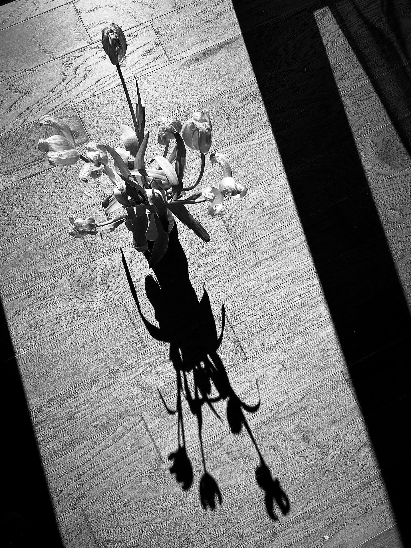 The light feels
brightest after
the dark. You
can’t appreciate
one without the
other.
#mwordsphoto #castingshadows #shadowcaster