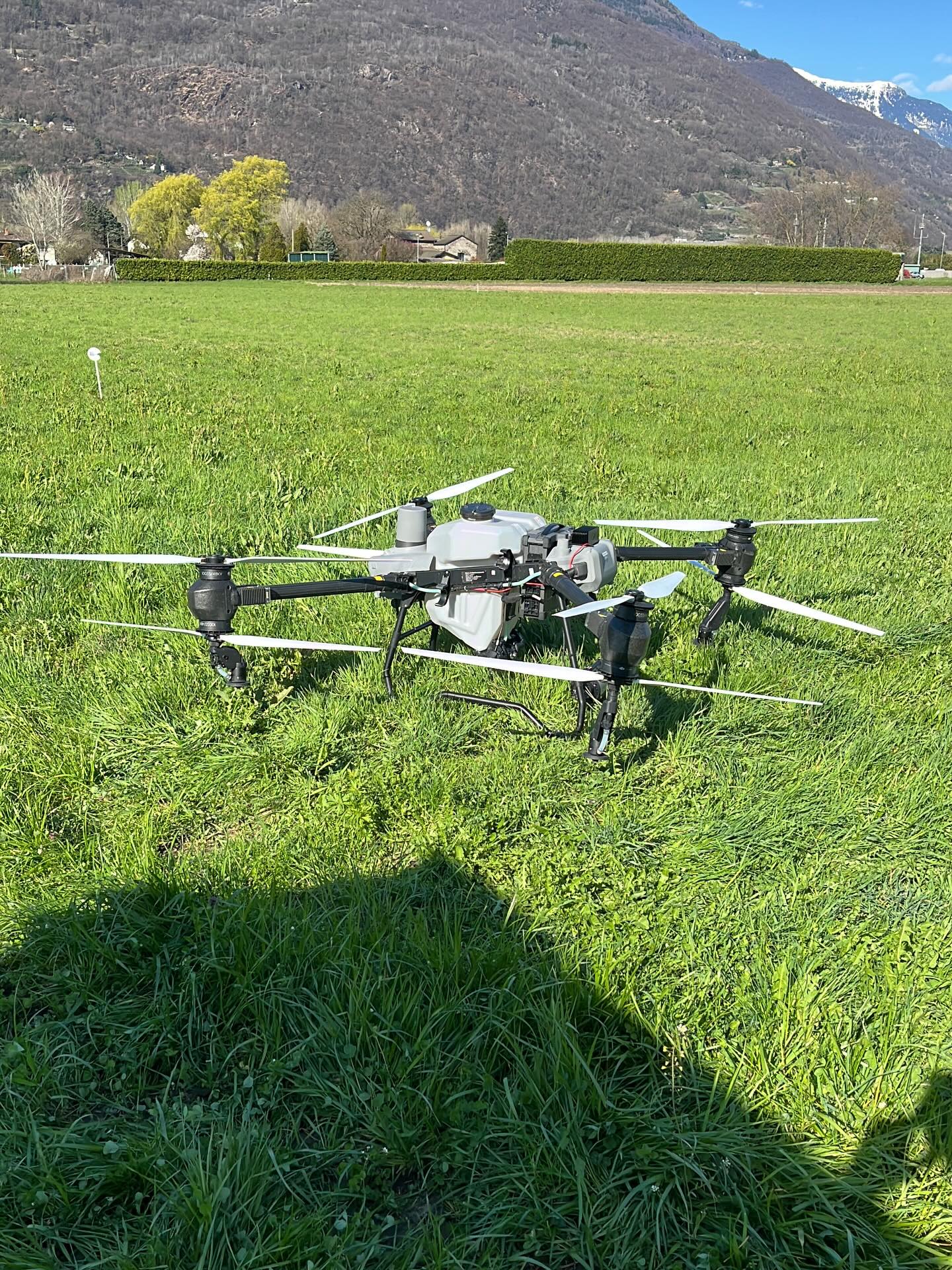 Someone says cipolle? 🧅