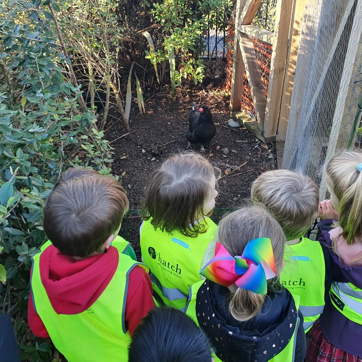 Our morning hikoi down to Prebbleton School yesterday for our oldest preschool tamariki who will soon be transitioning to kura/school. It was wonderful playing in the school environment, getting familar with the surroundings and meeting the school chickens.