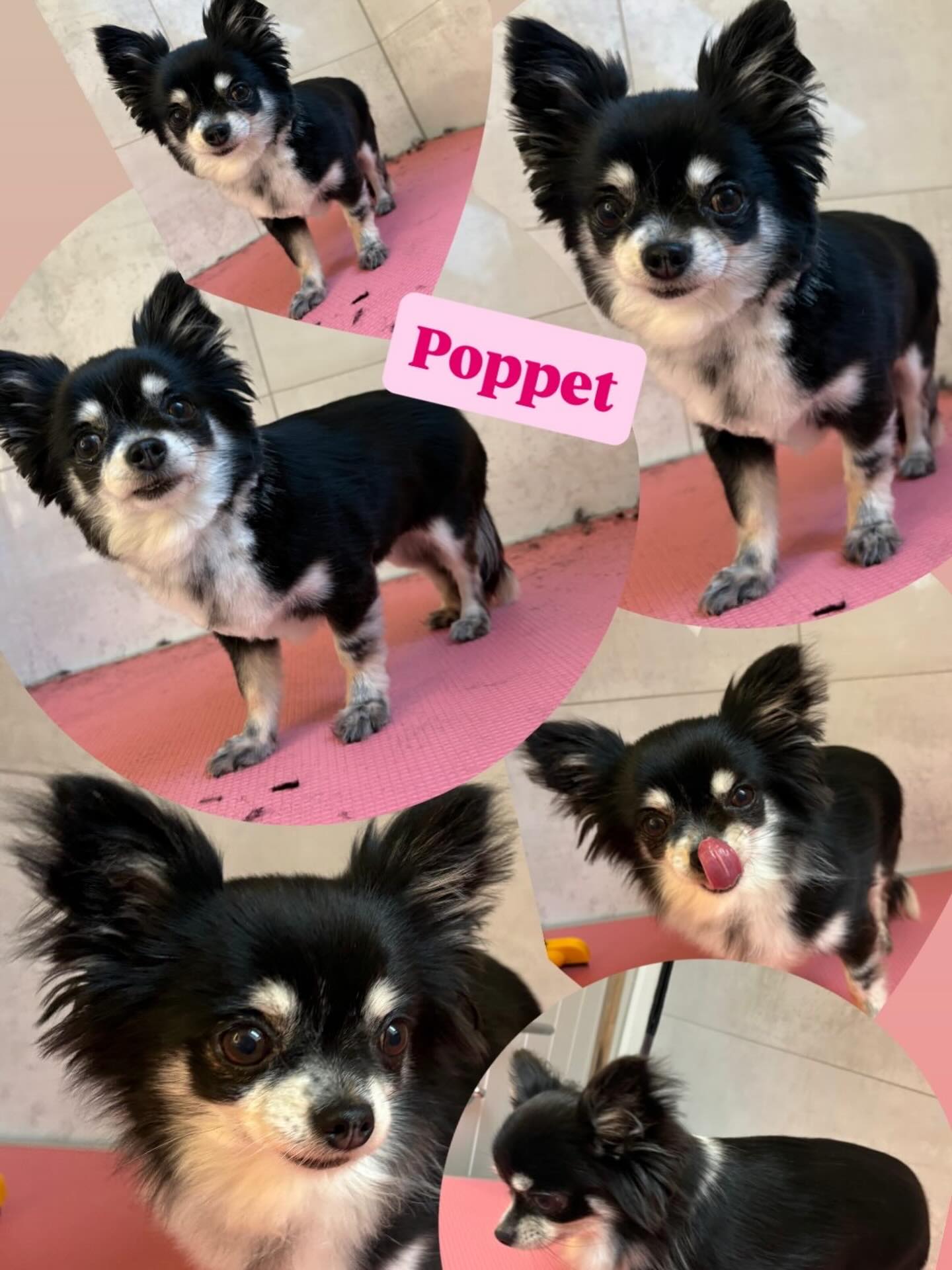 TOP: AFTER // BOTTOM: BEFORE 💗