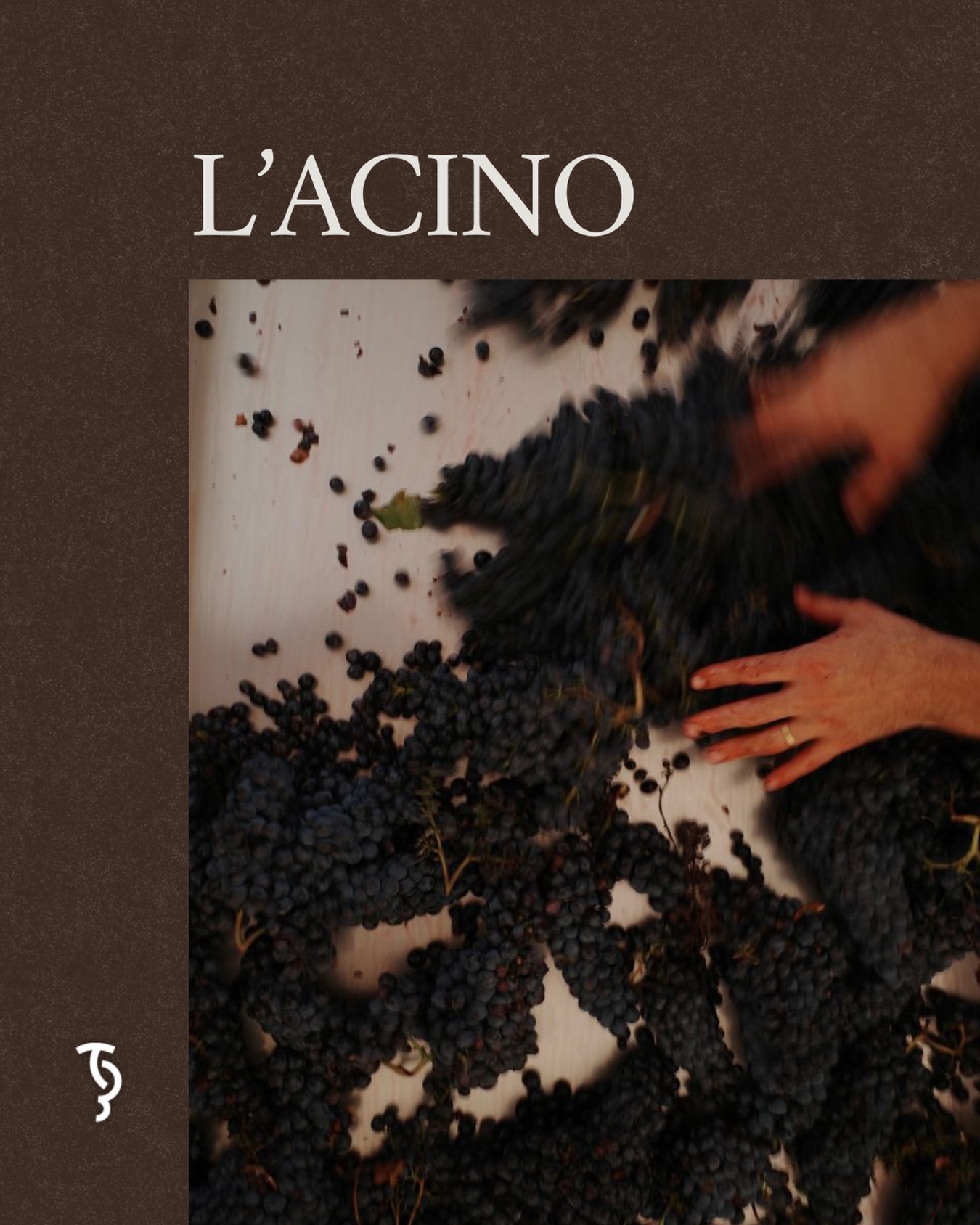 Ogni singolo Acino è memoria.
Memoria di una storia, di una magia che viene raccontata ogni giorno dalle nostre bottiglie e dalla nostra passione.
📍Via Nino Tesoriere 7 | Castellammare del Golfo
📞327 9523280