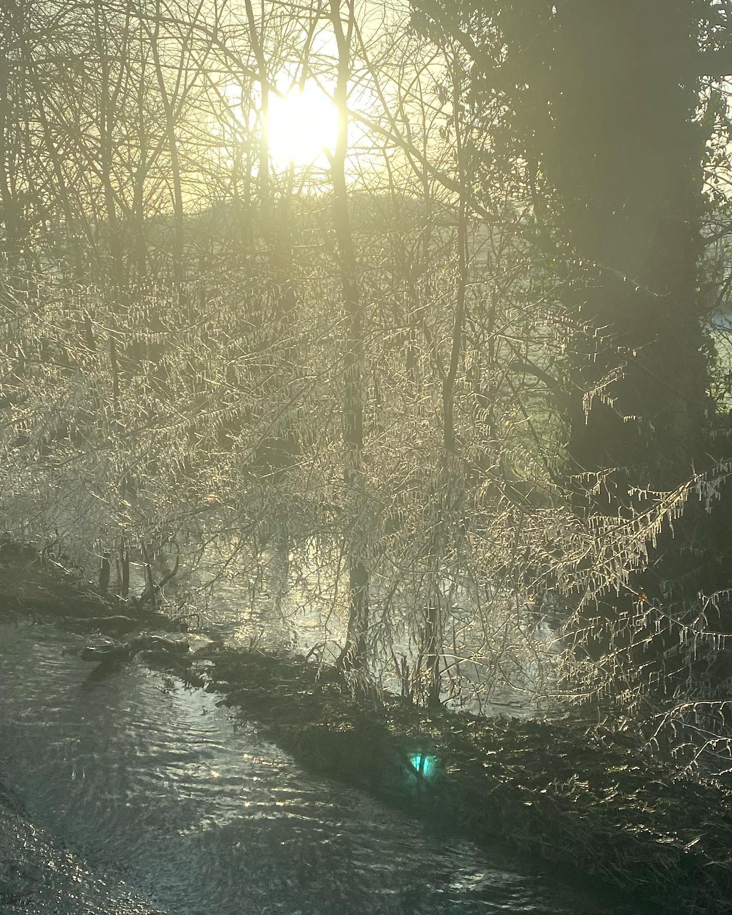 It’s chilly but beautiful. Icicles on the verge from cars splashing. So pretty. #january #icicles #winterwonderland #wintertravel