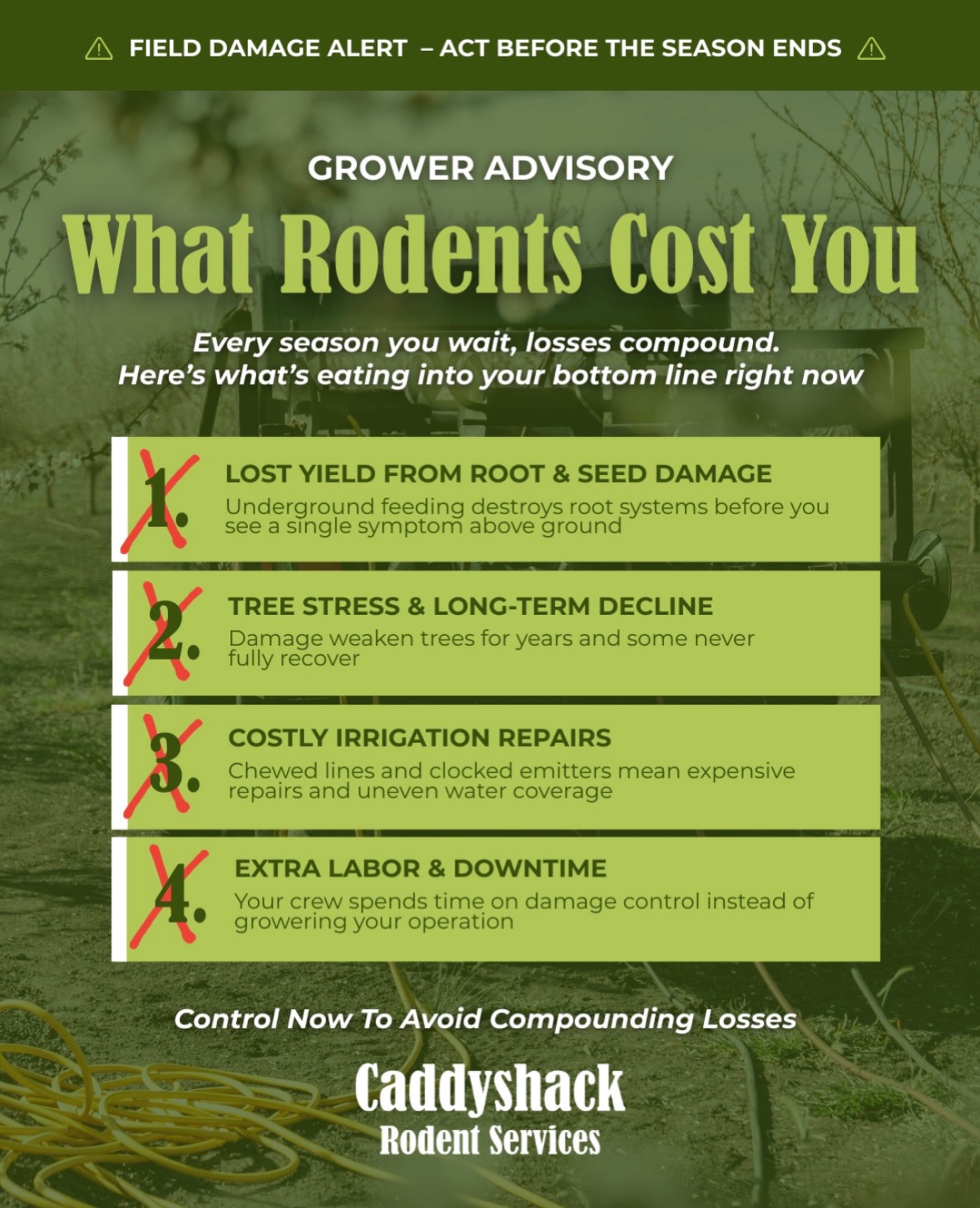 Rodent damage adds up fast.
Donโt let it cost you โ take control early.๐ฟ๏ธ๐ซ
๐ North & Central Valley: (209) 564-8207
๐ South Valley: (559) 395-2537
#rodentcontrol #orchardmanagement #agservices #farming #pestcontrol