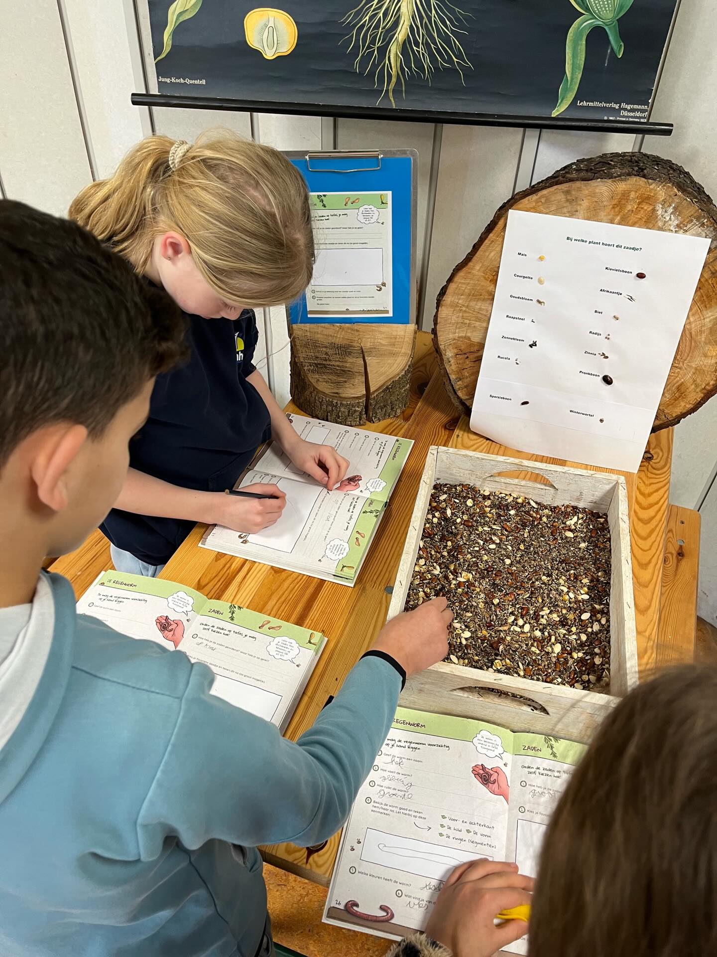 De schooltuinen zijn weer begonnen. Op 23 maart starten we met de buitenlessen. 🥕🥦🌽