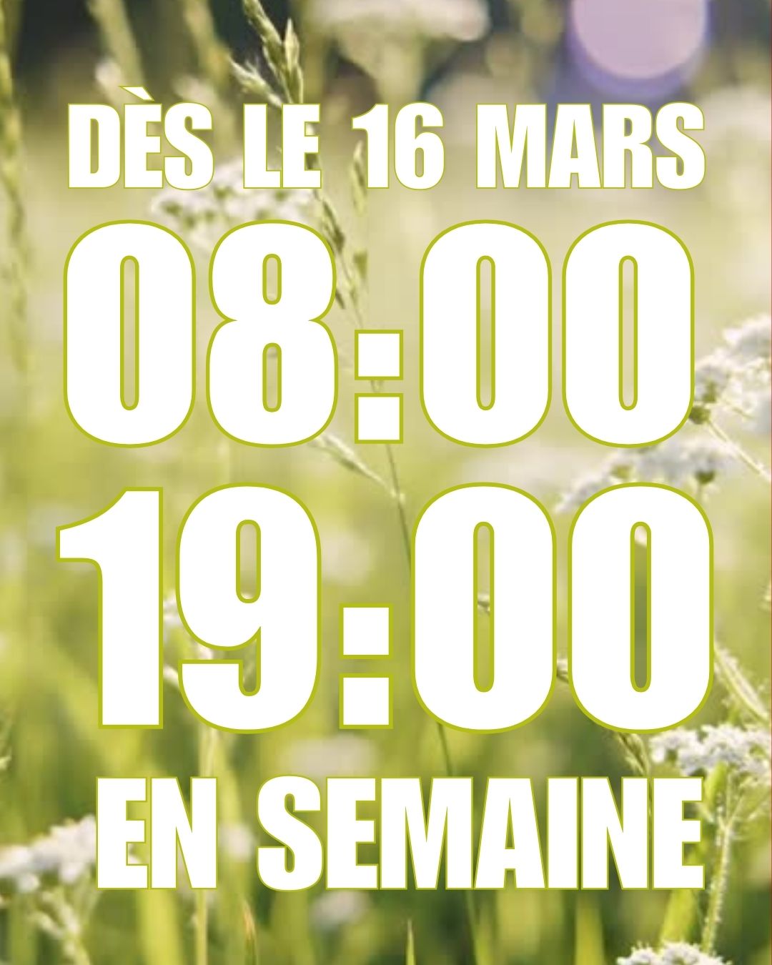 Dès lundi, pour mieux vous accueillir et vous offrir plus de flexibilité, nos magasins adaptent leurs horaires.
✅ 8h00 – 19h00 du lundi au vendredi (et dès 7h30 à Satigny)
✅ 8h00 – 18h00 le samedi
Plus de temps pour passer nous voir, préparer votre jardin, vos projets ou faire le plein de produits locaux 🌱
📍 On vous attend en magasin !