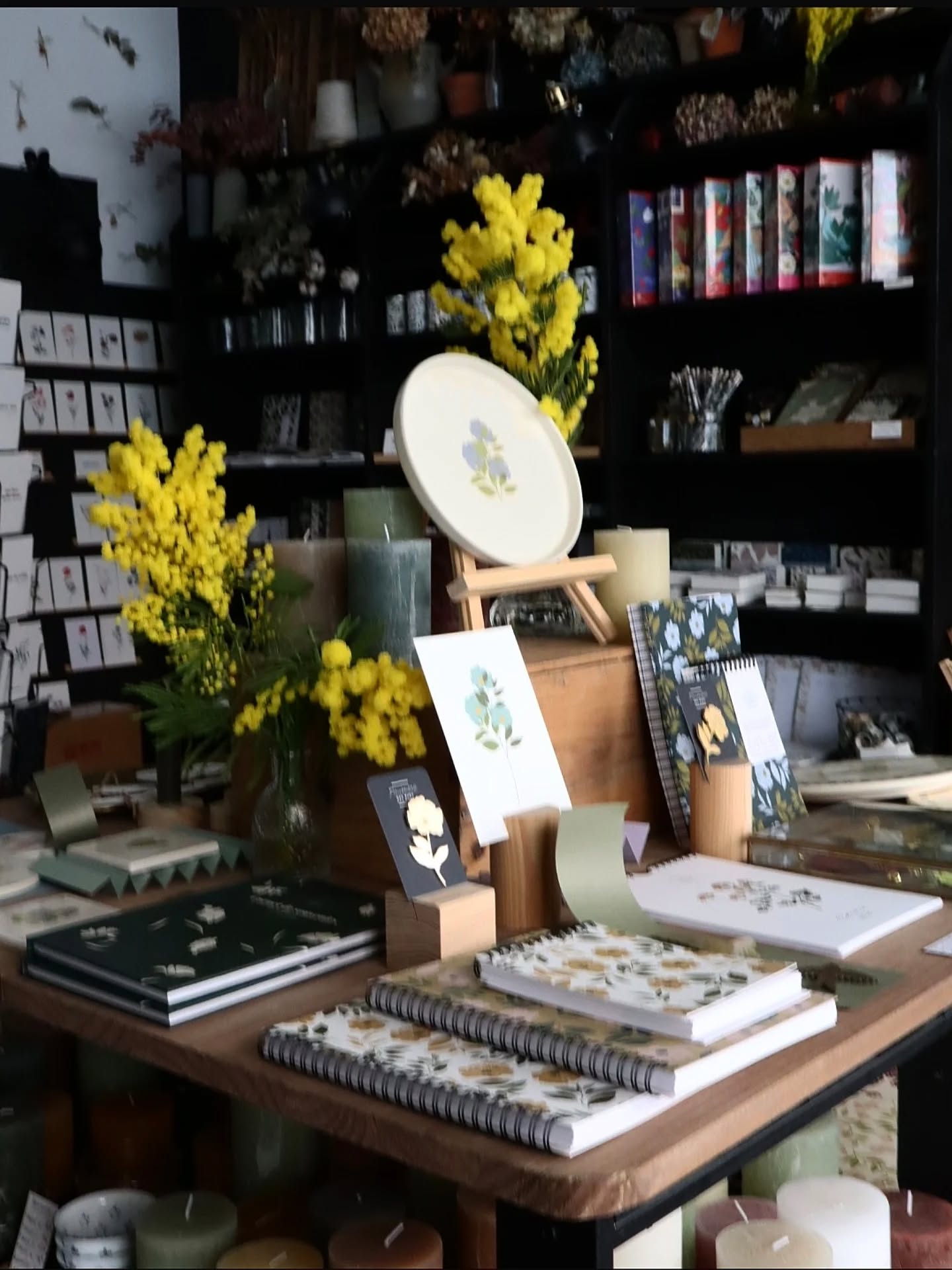 Un peu de jaune à la boutique 💛
On va bientôt changer la vitrine et l'îlot pour faire entrer le printemps !
.
.
.
#poussiereredesrues #lyon #flowers #mimosa