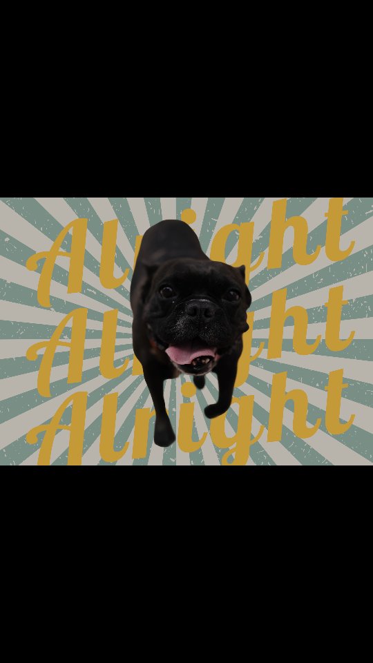 A little haldi, a lot of laughter, and the beginning of a beautiful forever.
Priya & Alex 💛